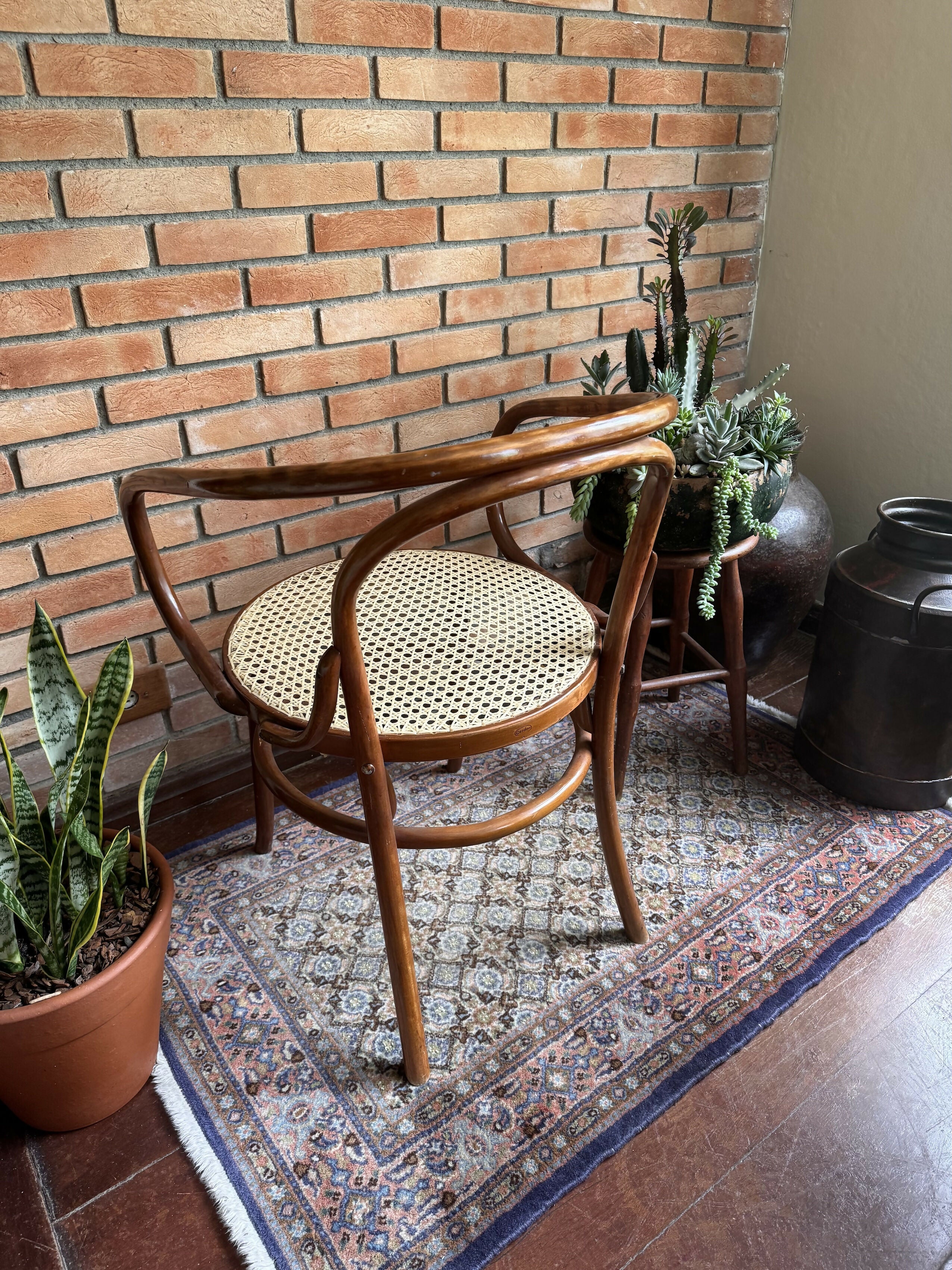 Poltrona Gerdau Thonet - modelo raro de encontrar