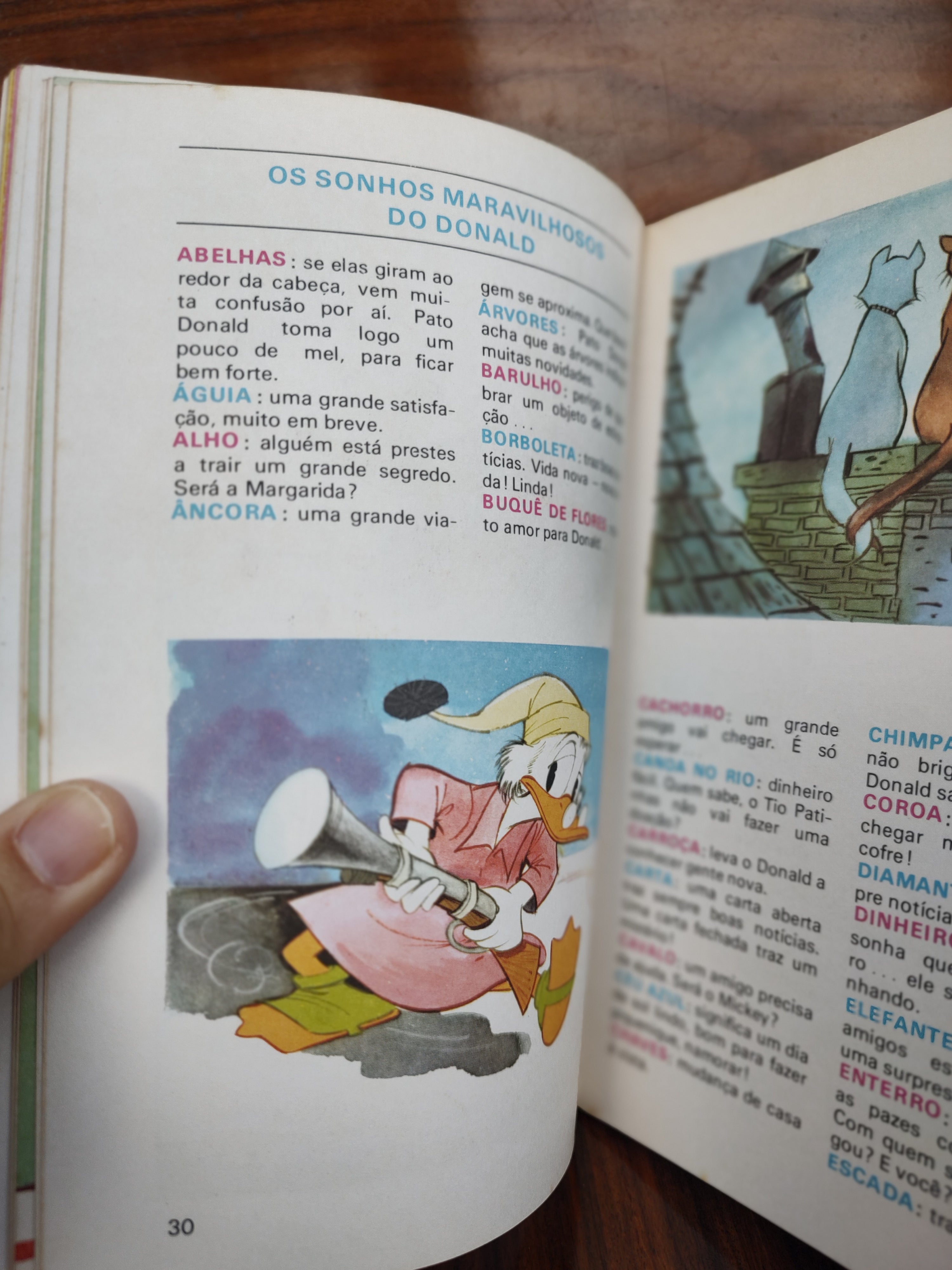 Raro Livro “Manual do Bruxo Merlin — Manuais Disney” Editora Nova Cultural, 1988