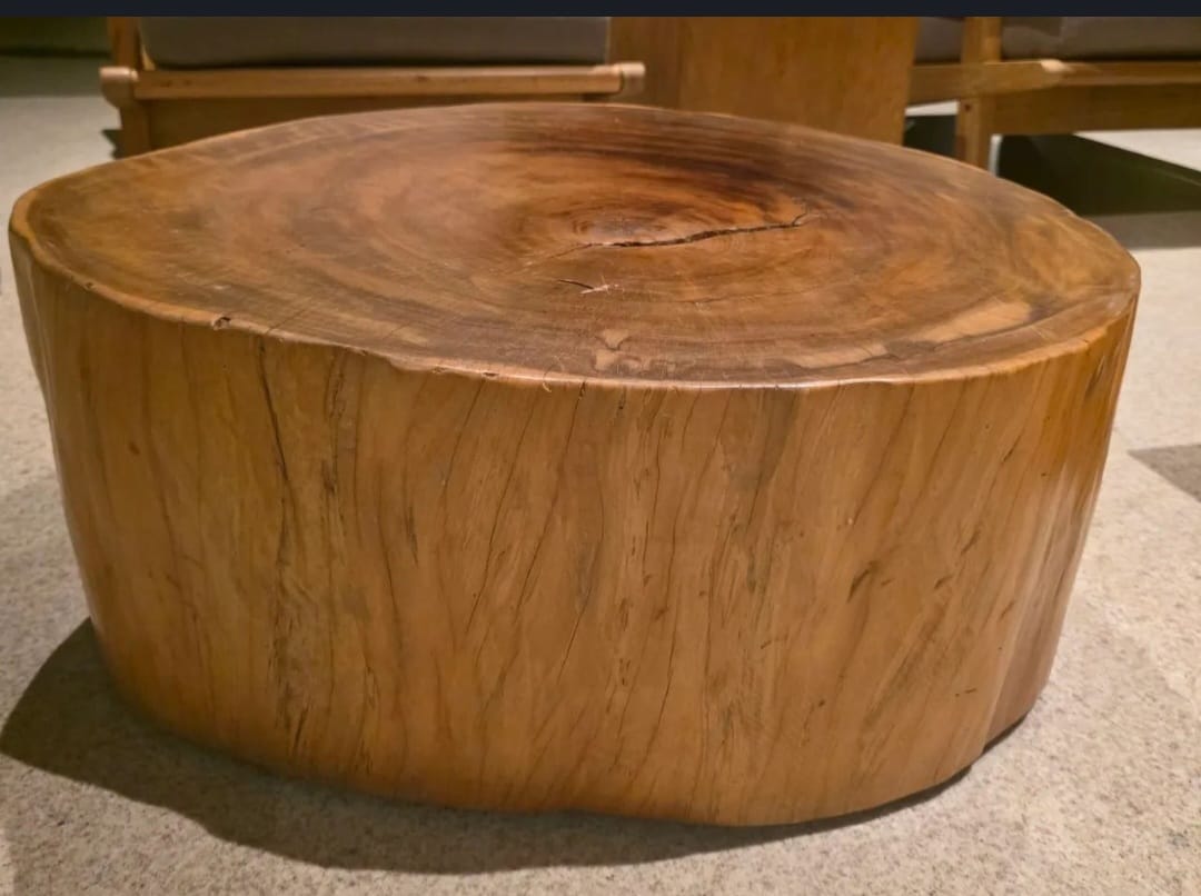Mesa de Centro ou Lateral rústica (tora/tronco maciço de madeira) 