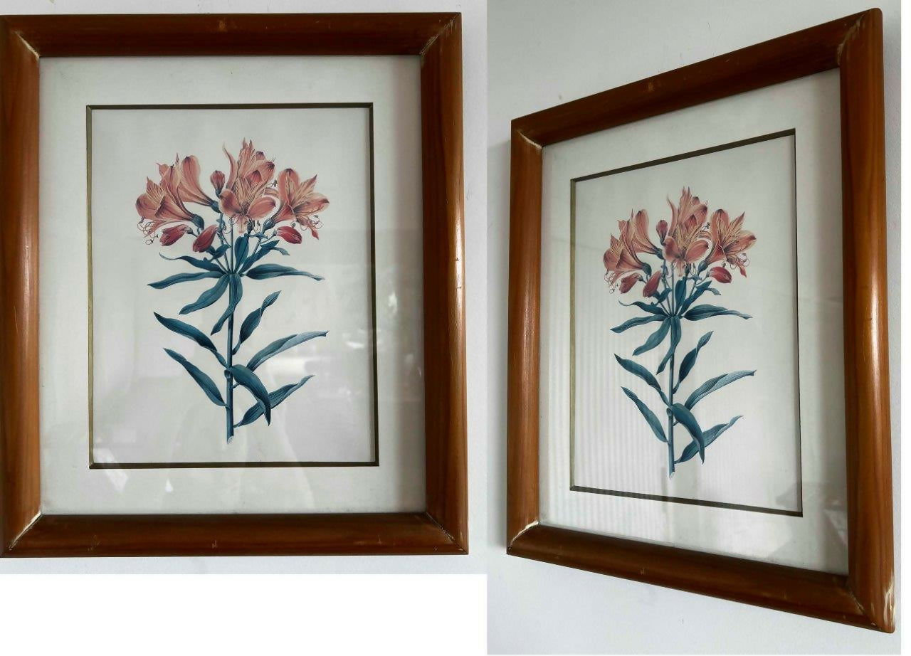 Conjunto de 8 Quadros decorativos com moldura de madeira e vidro