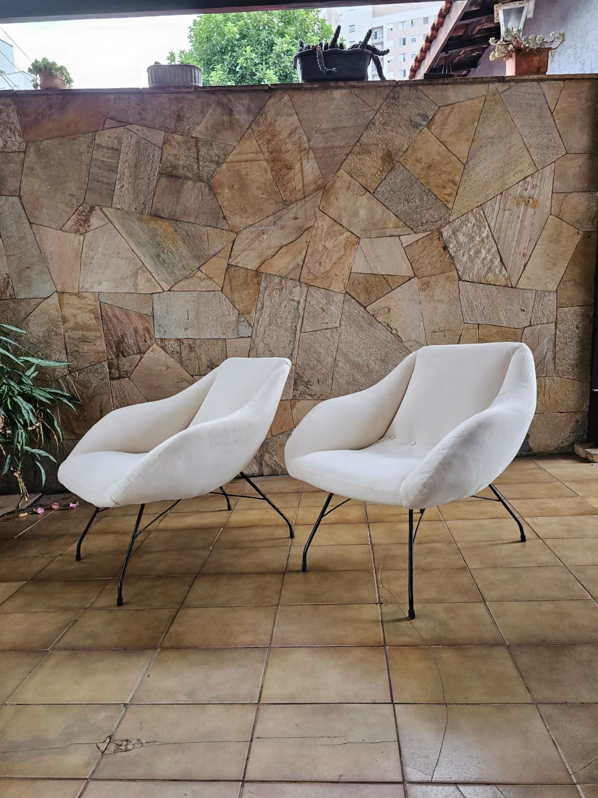 Par de poltronas "Concha" - Martin Eisler & Carlo hauner ( Forma S.A)- 1954