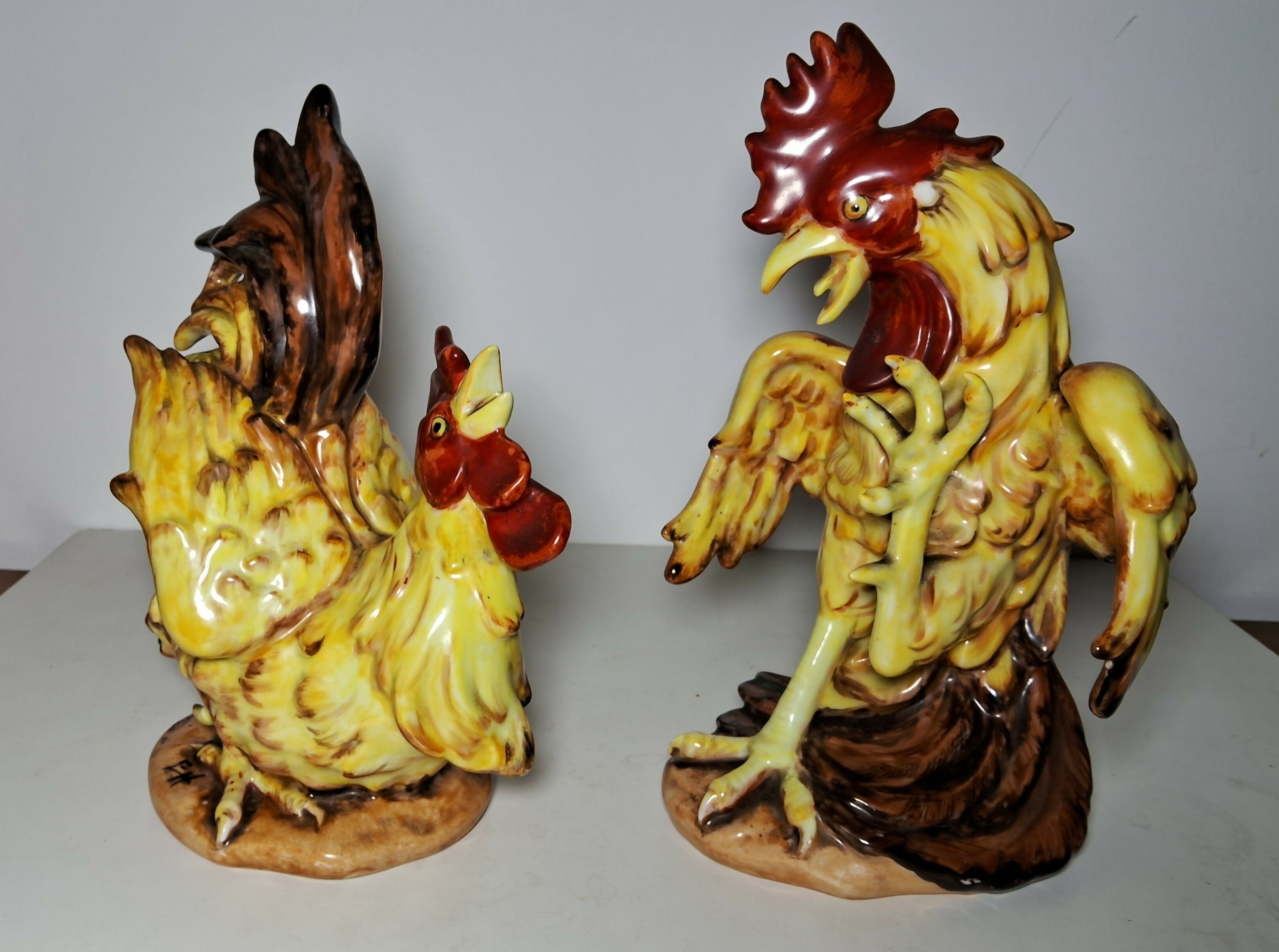 Par de GALOS DE RINHA