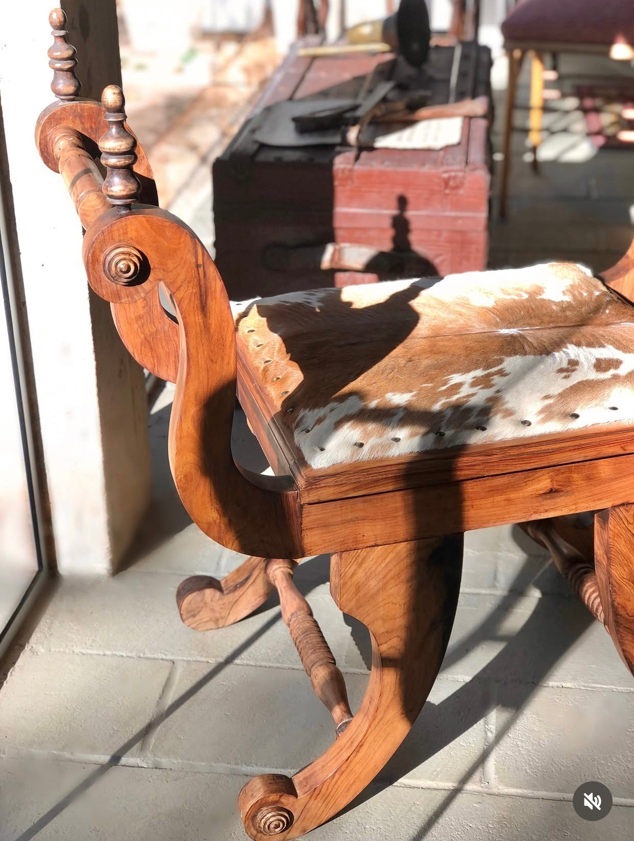 Marquesa / Banco curul em Jacarandá com estofado em couro de vaca malhada 