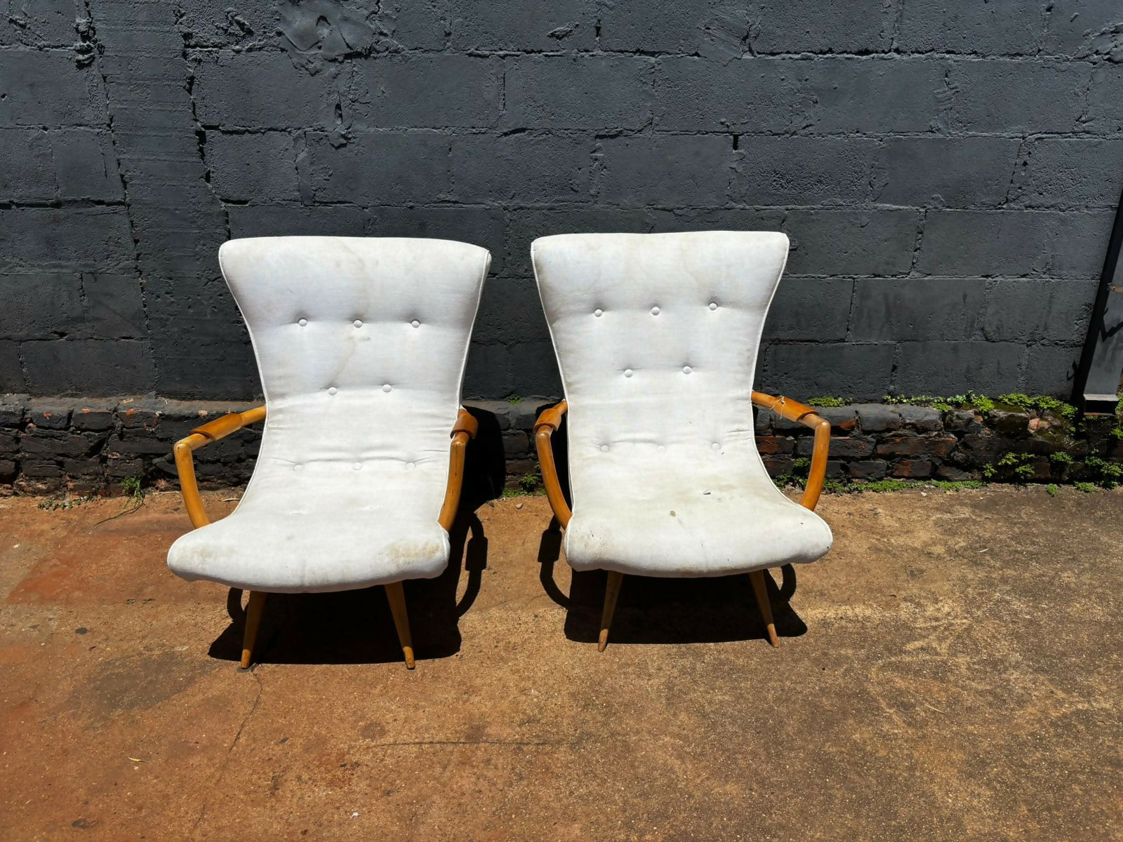 Par de Poltronas Giusepe Scapinelli