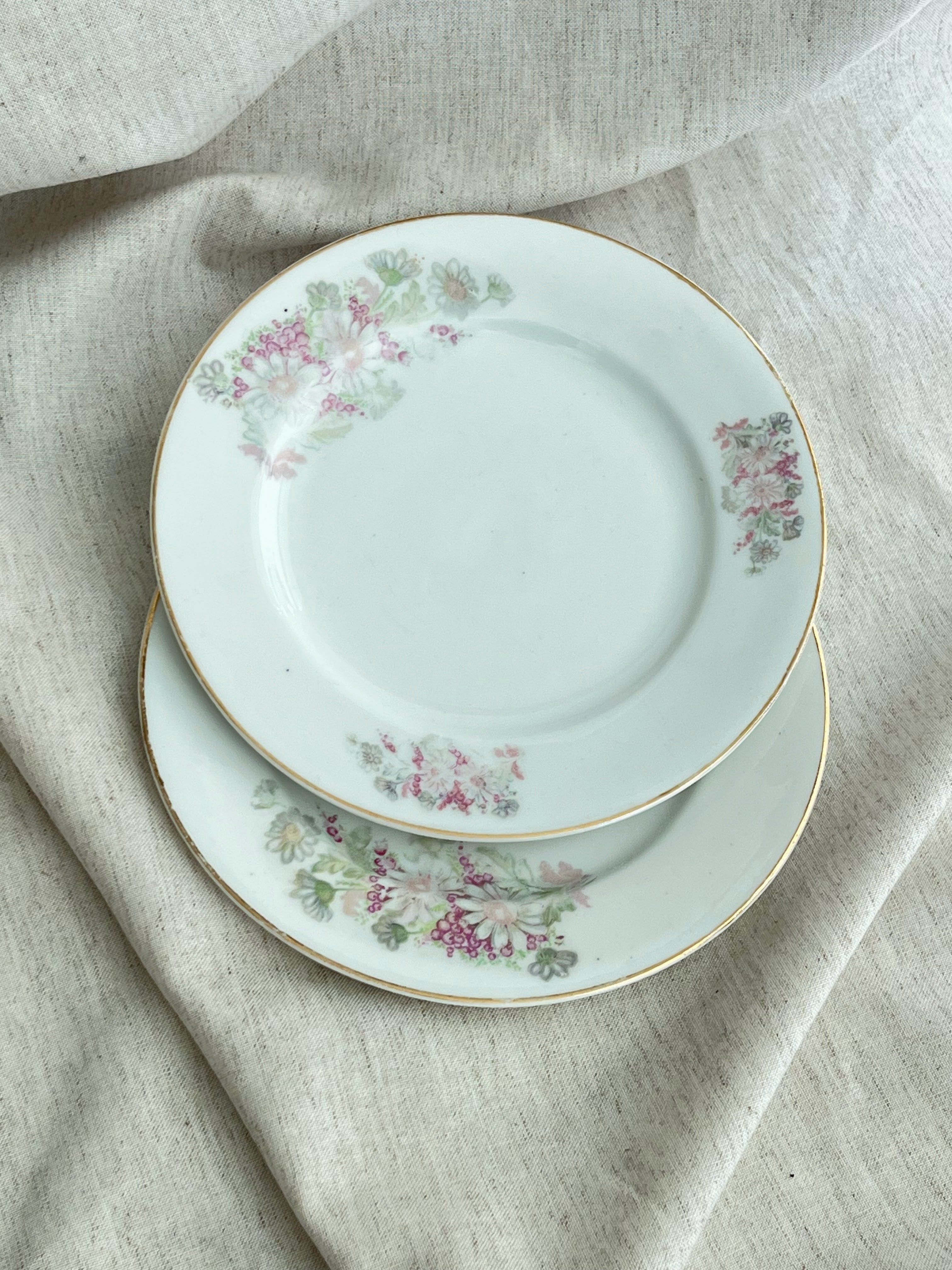 Conjunto de 9 Pratos antigos com motivos florais Vista Alegre | Portugal | 1881–1921