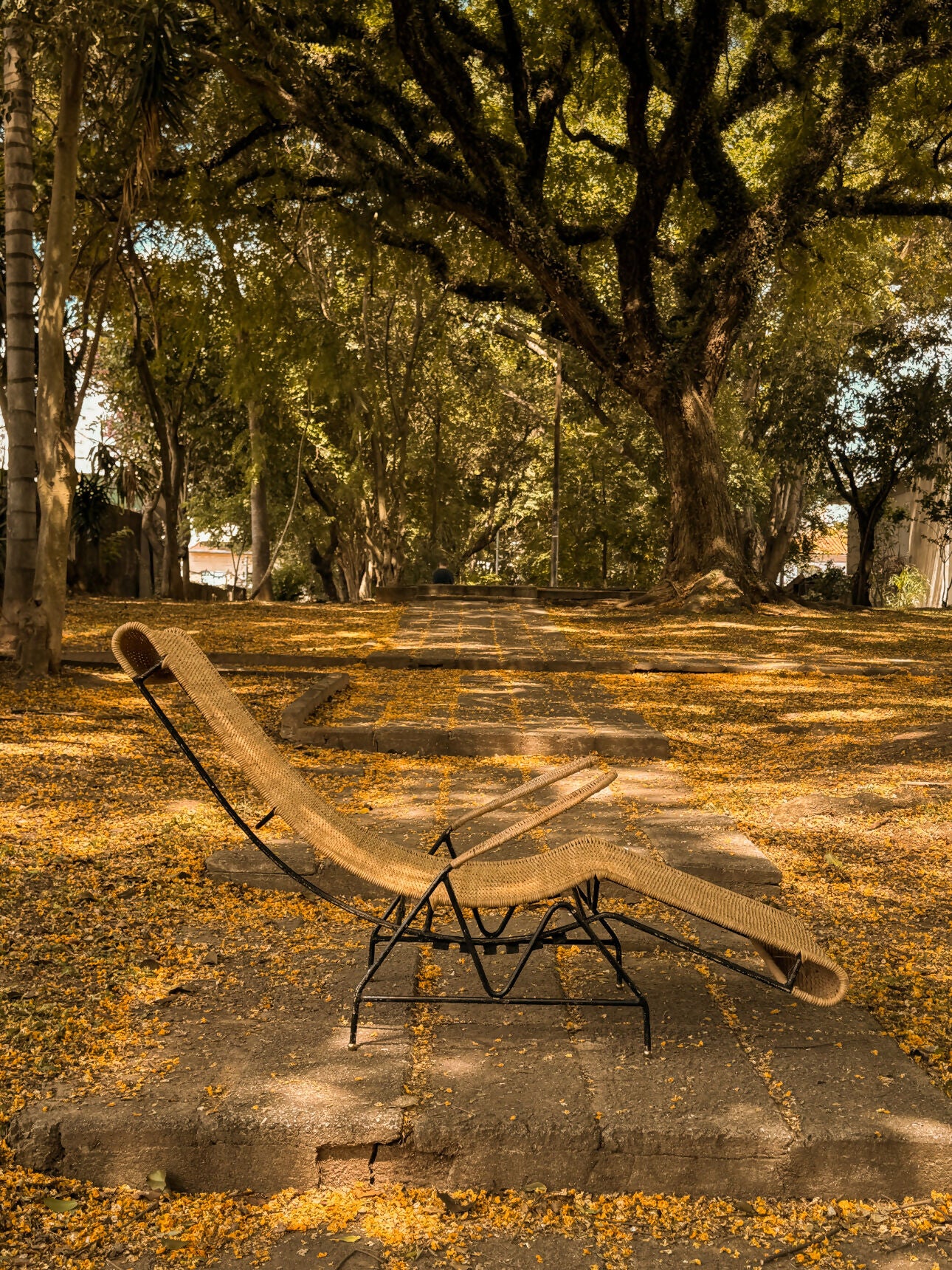 Espreguiçadeira modernista