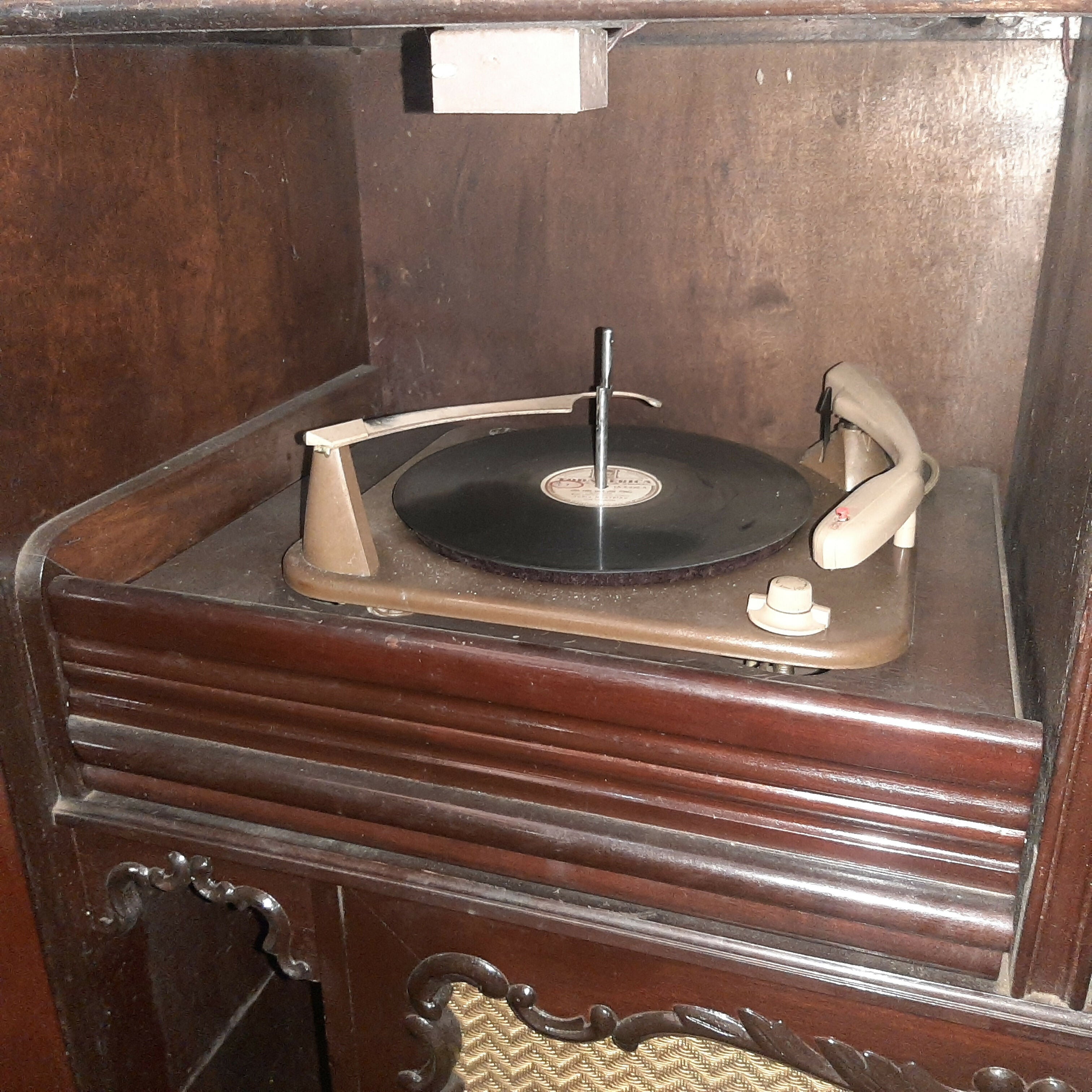 Antiga radiola