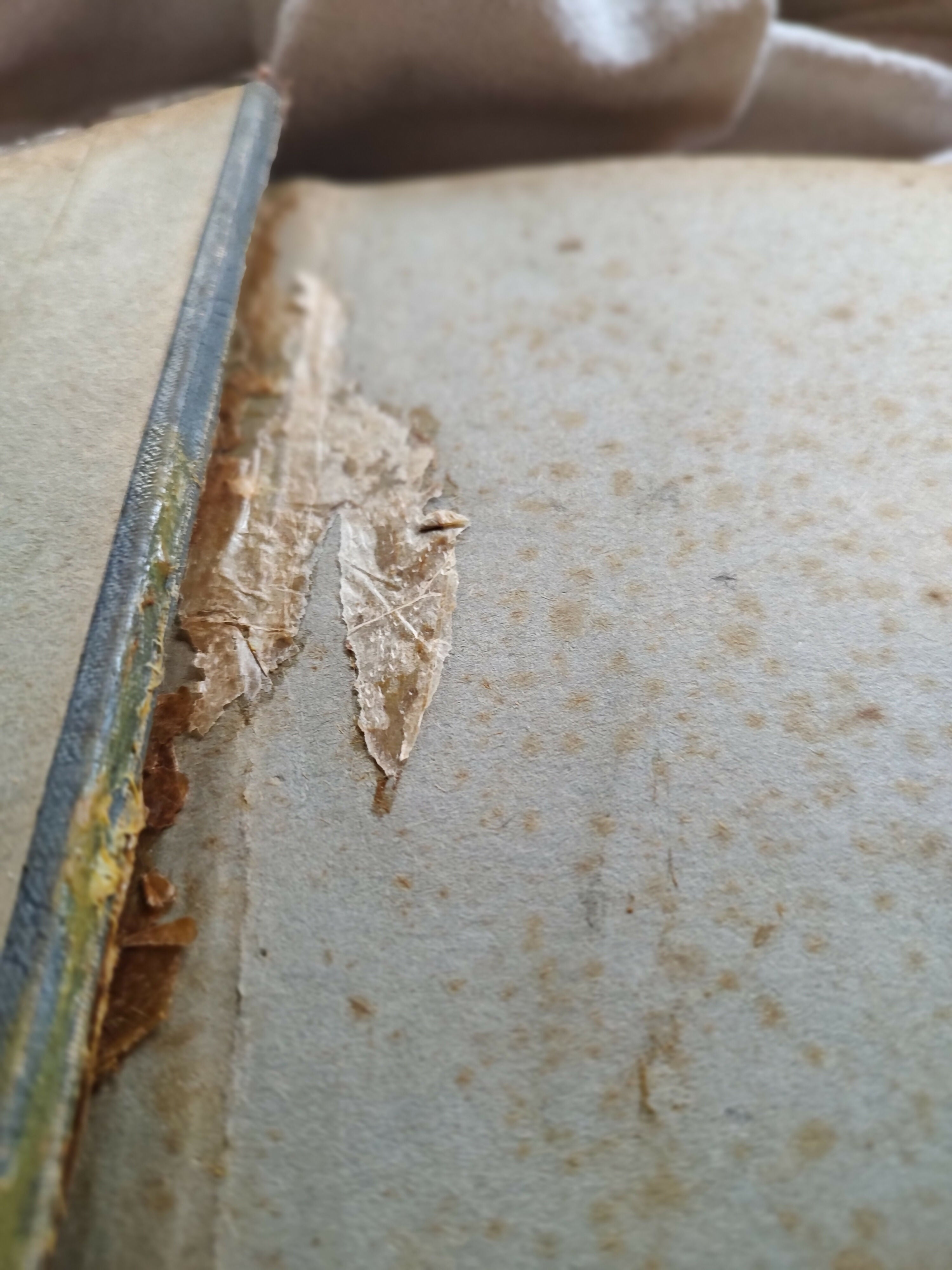 Antigo álbum de fotos "Nossas Núpcias" com capa em madeira (39cm x 33cm)