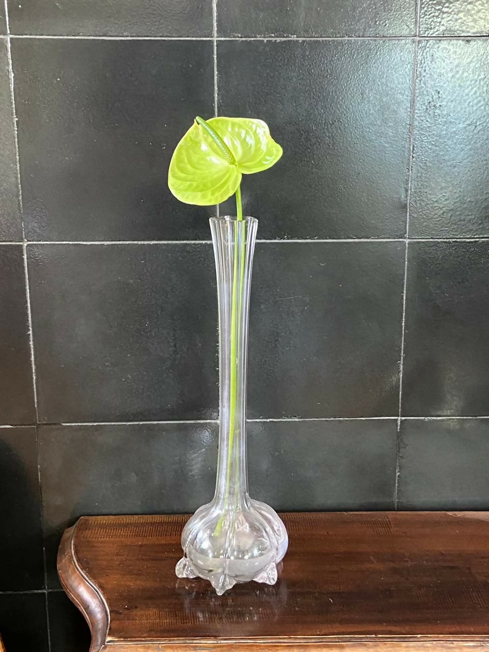 Vaso Solifleur Translúcido (DMPS_39)