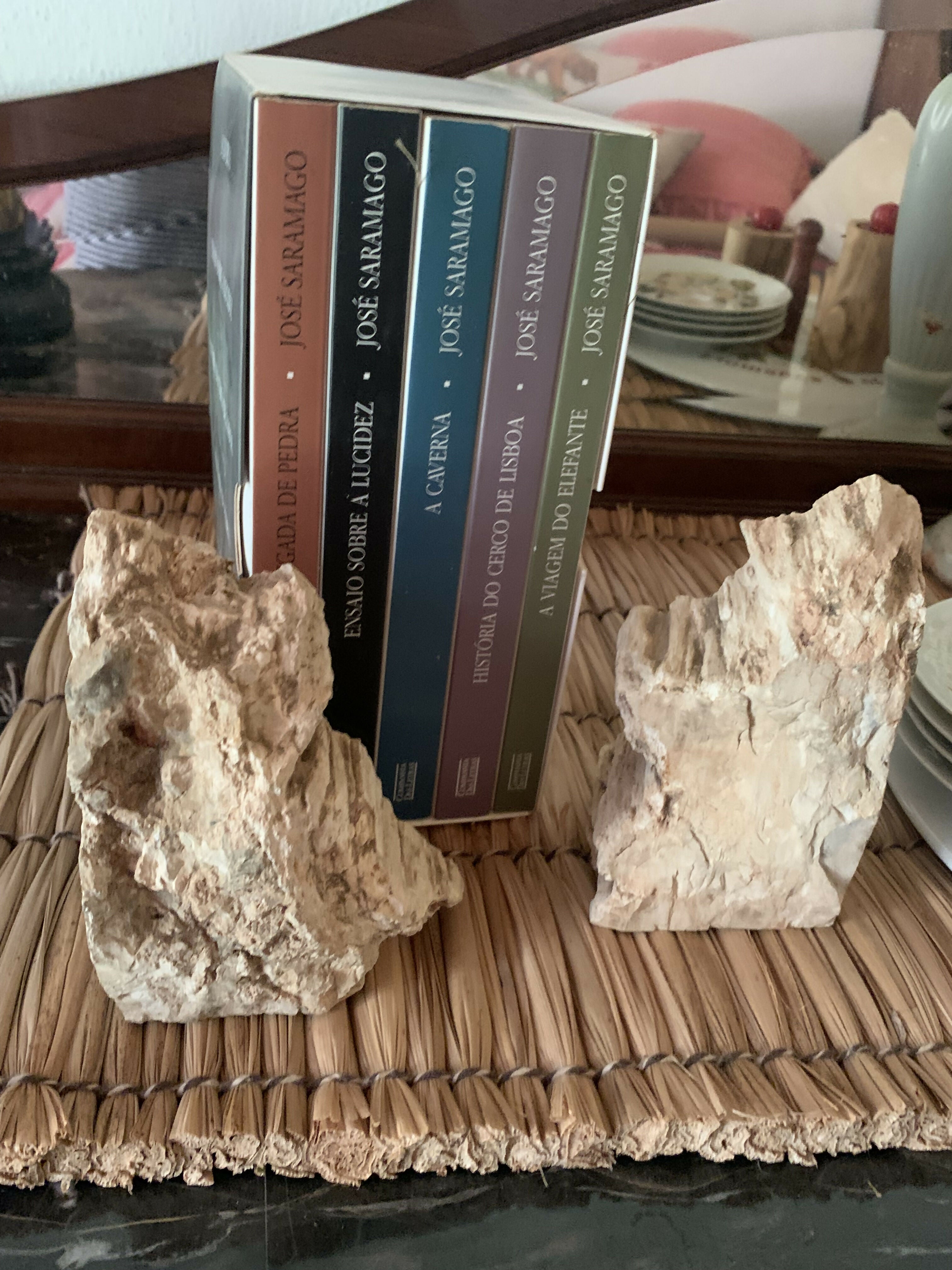 Apoio para livros, aparador de livros em madeira petrificada