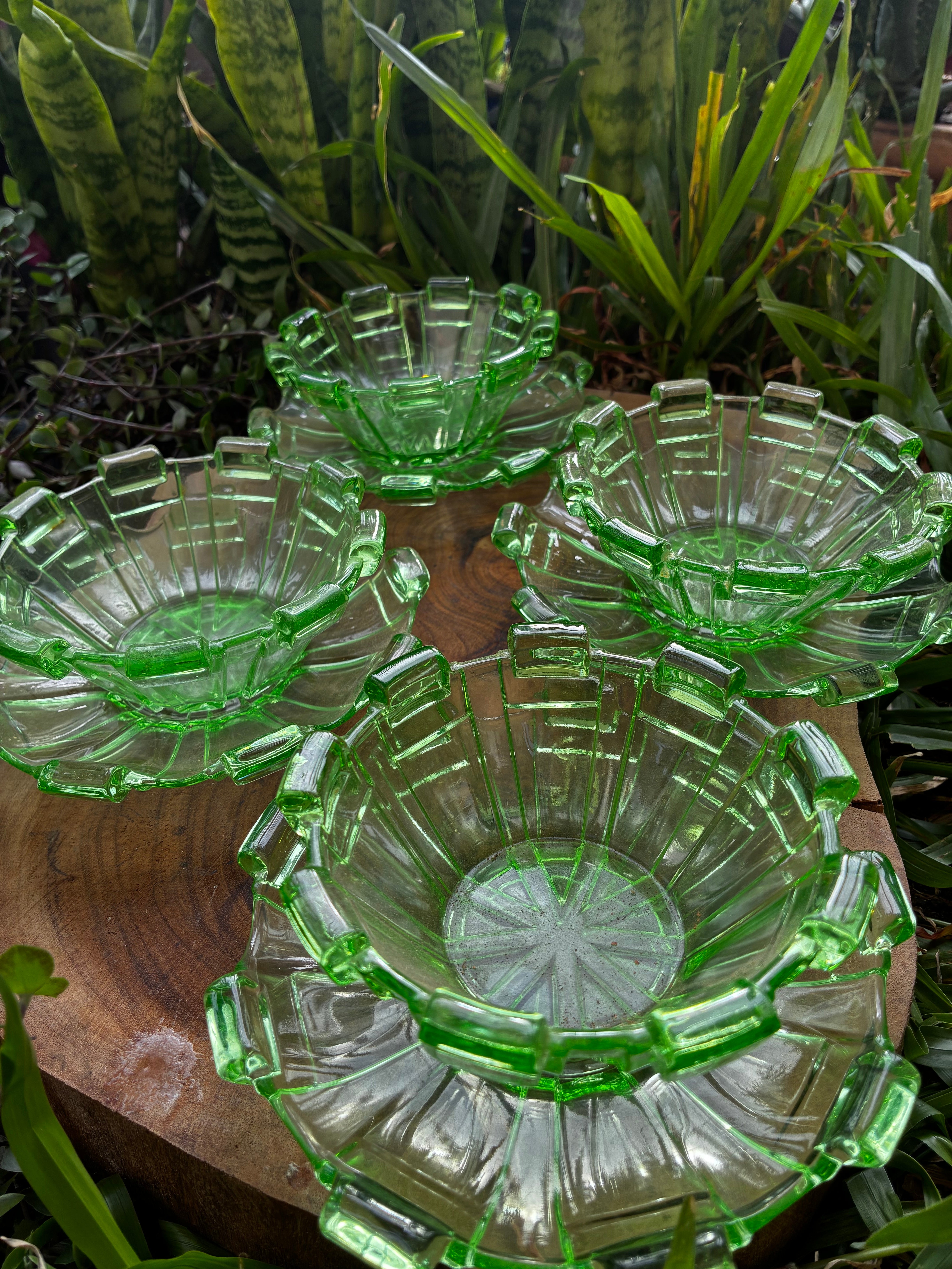 Conjunto de Sobremesa com quatro Tigelas com pires em vidro verde texturizado 