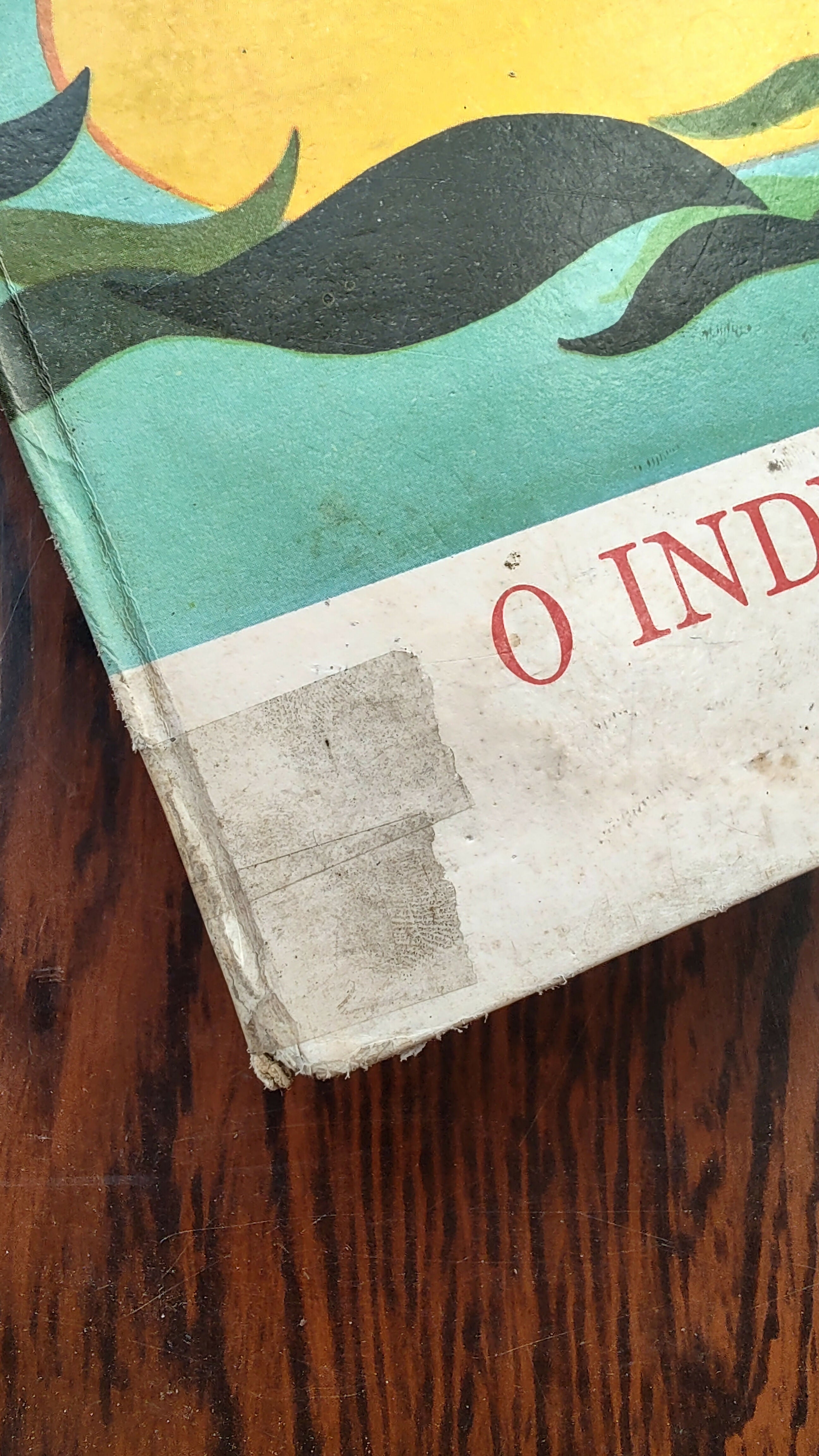 Antigo Livro &quot;O Indiozinho Amazonas&quot; - publicado em 1975