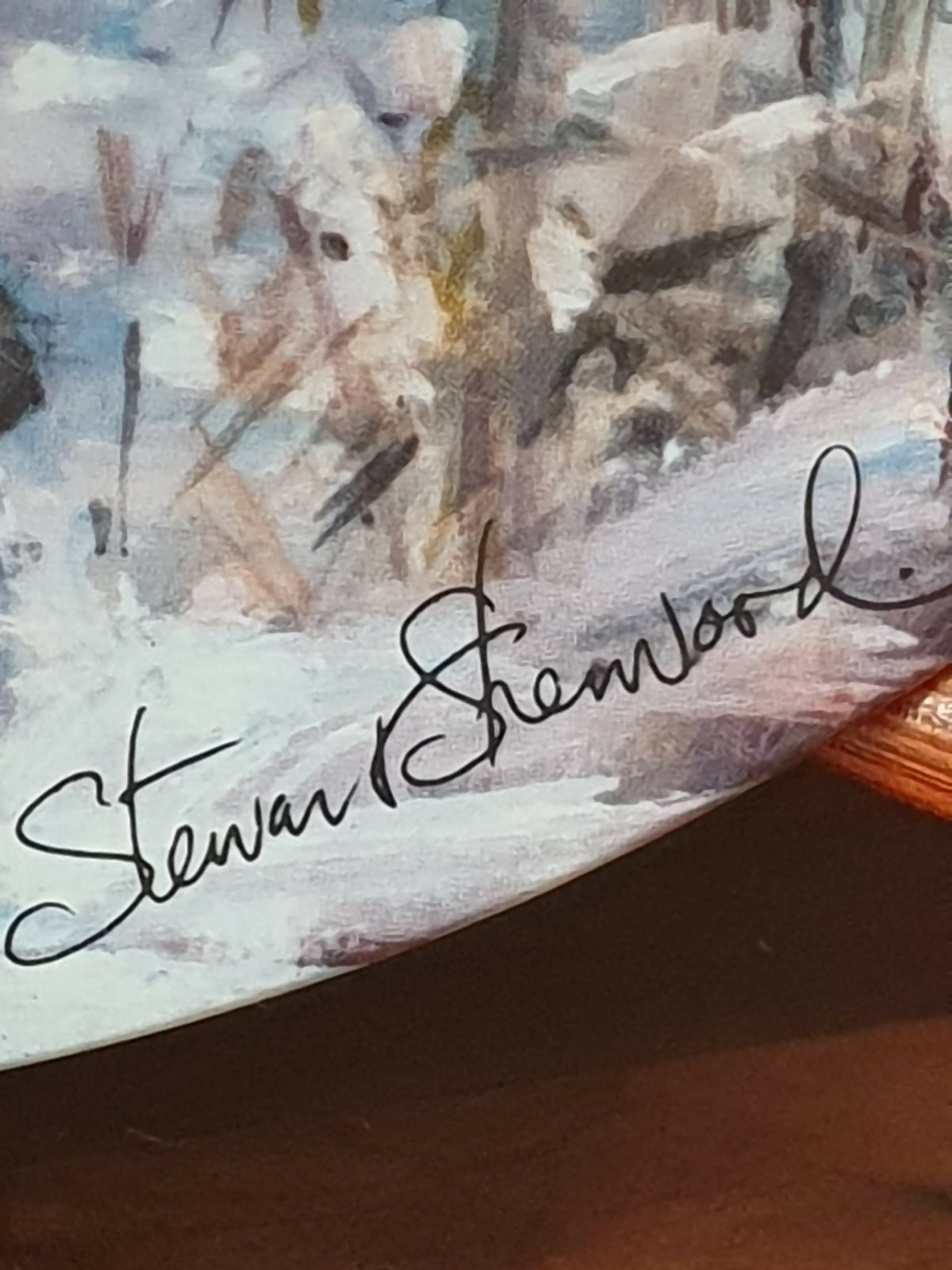 Prato decorativo em porcelana canadense Dominion &quot;Dreams of Glory&quot;, 1986. Incrivel!