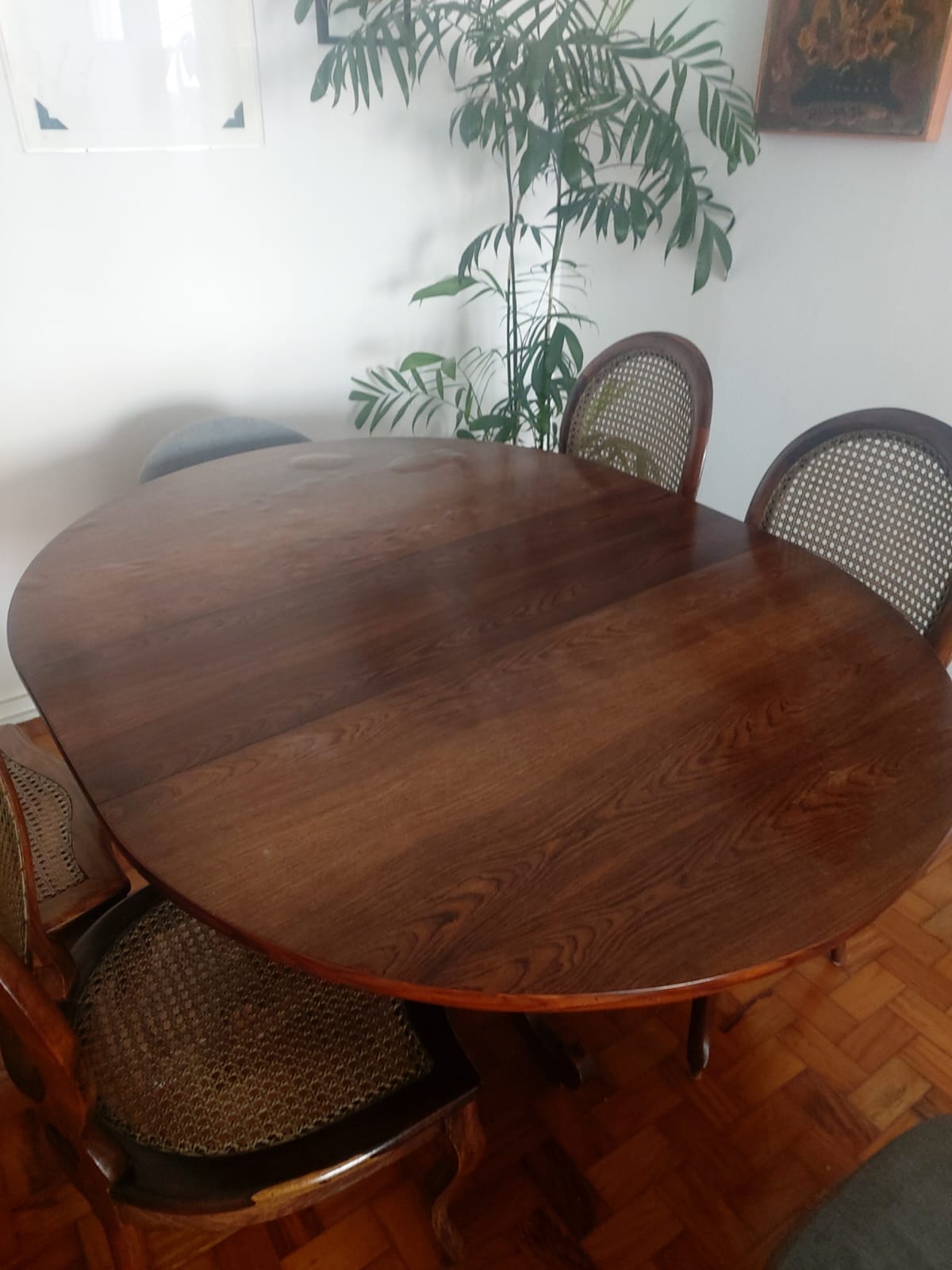 Conjunto de mesa de jantar antiga em madeira nobre + 4 cadeiras medalhão em palhinha