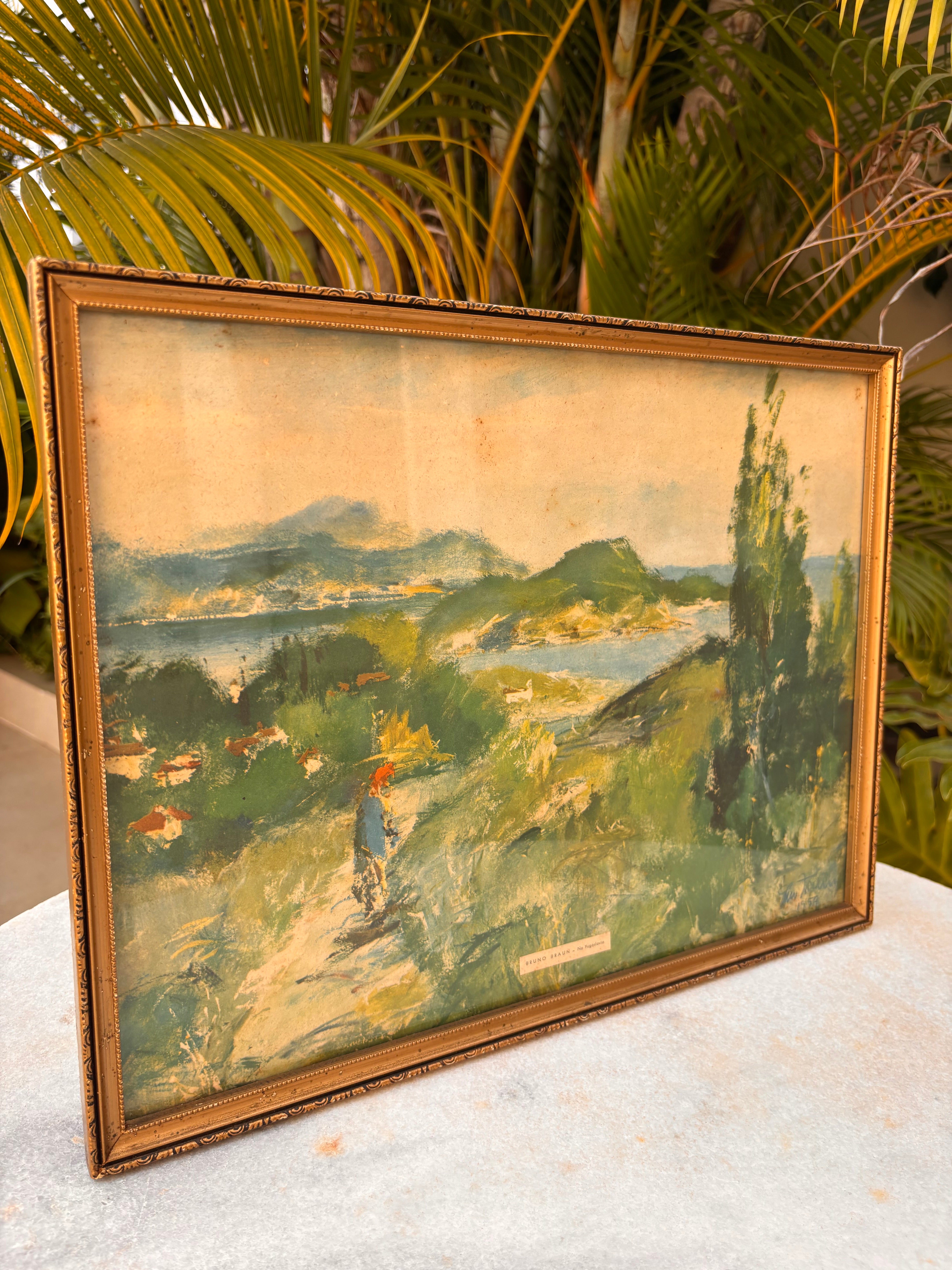 Quadro Antigo Óleo Sobre Placa - Bruno Braun (1959) - Na Yugoslávia