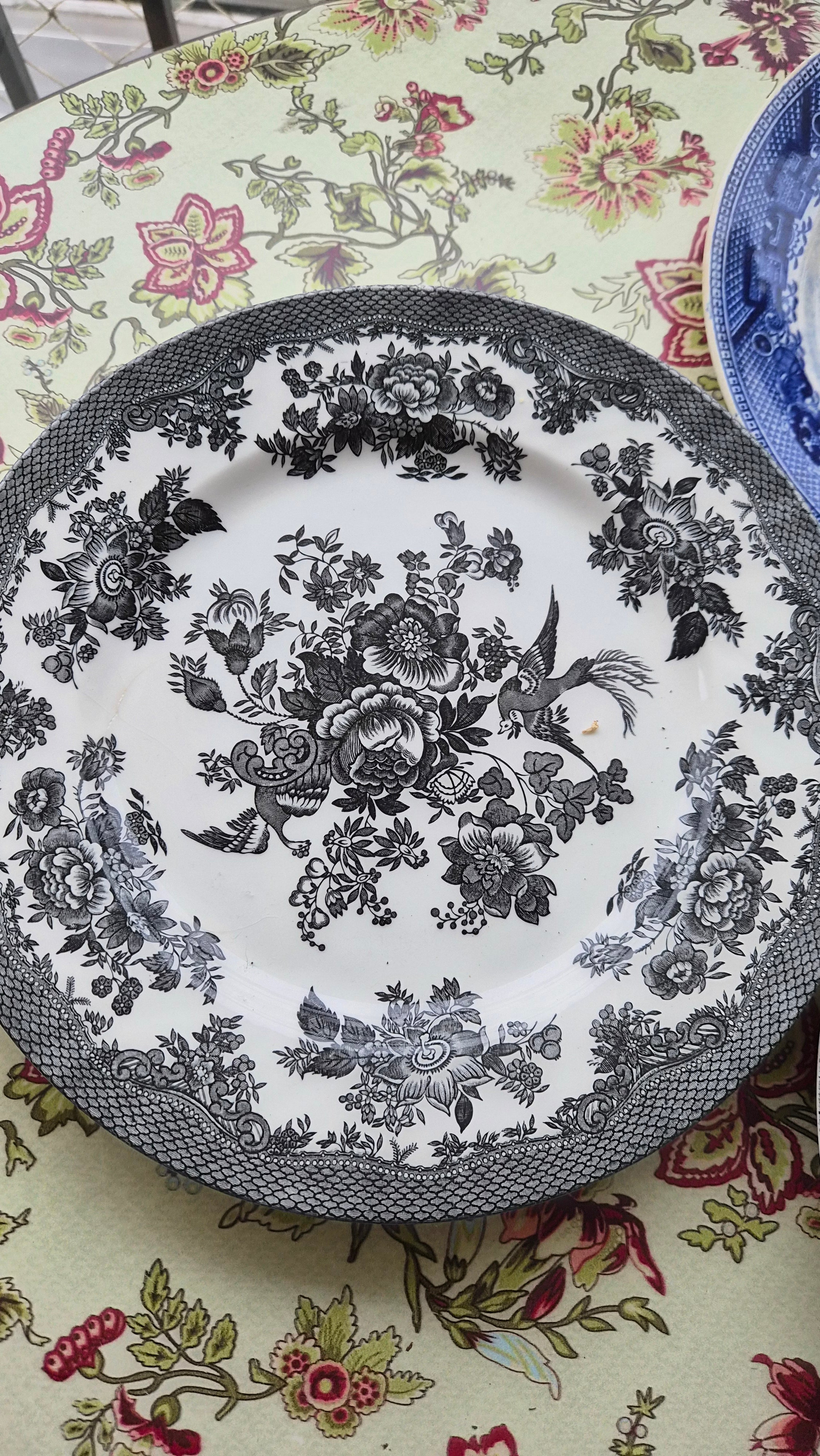 Trio de Pratos ingleses Variados (em preto e azul) 