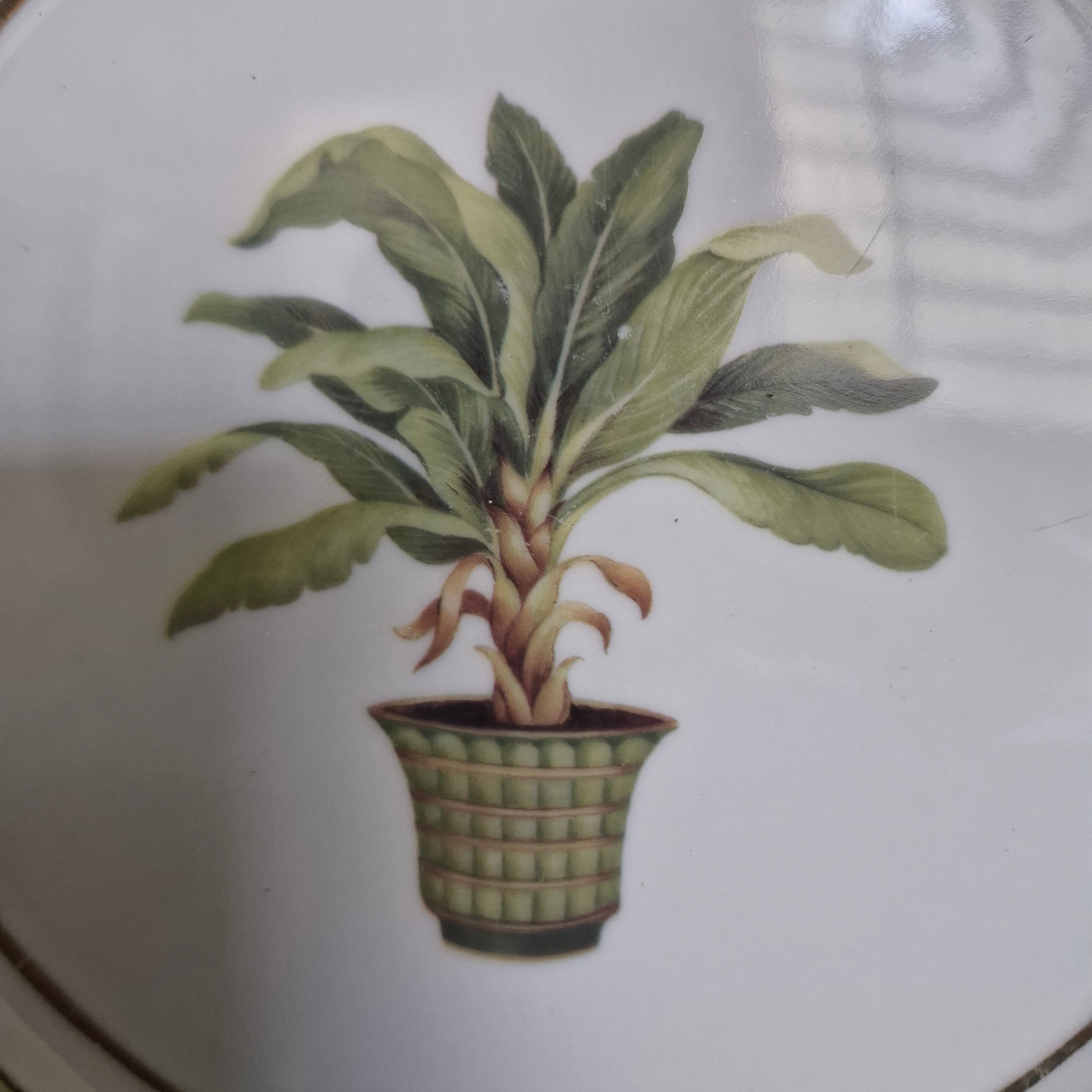 Prato Porcelana Decorativo com pintura de Planta 