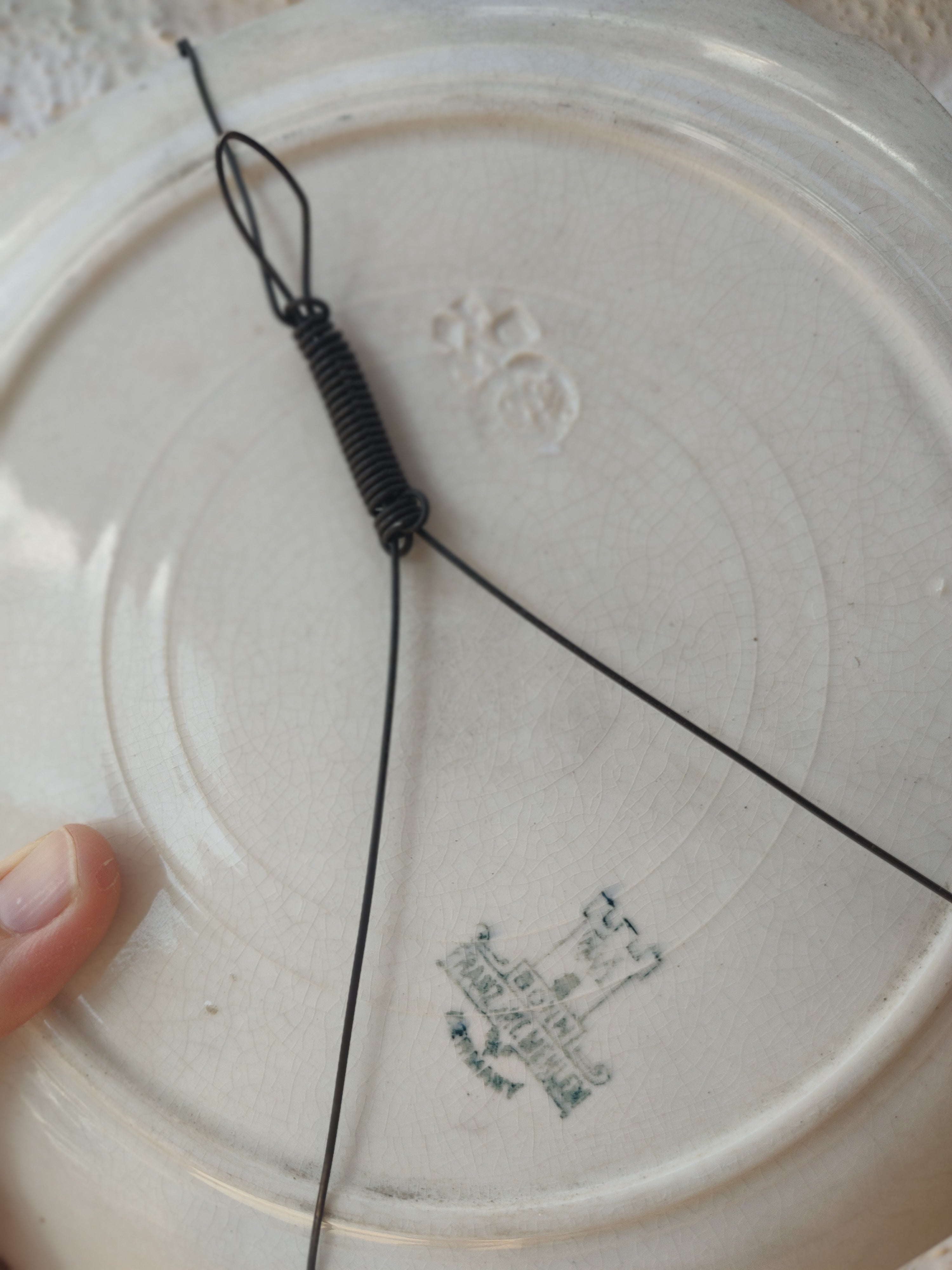 Raro e centenário conjunto de Pratos Decorativos com pequena travessa em Porcelana Alemã Royal Bonn com pinturas de peixes feita à mão