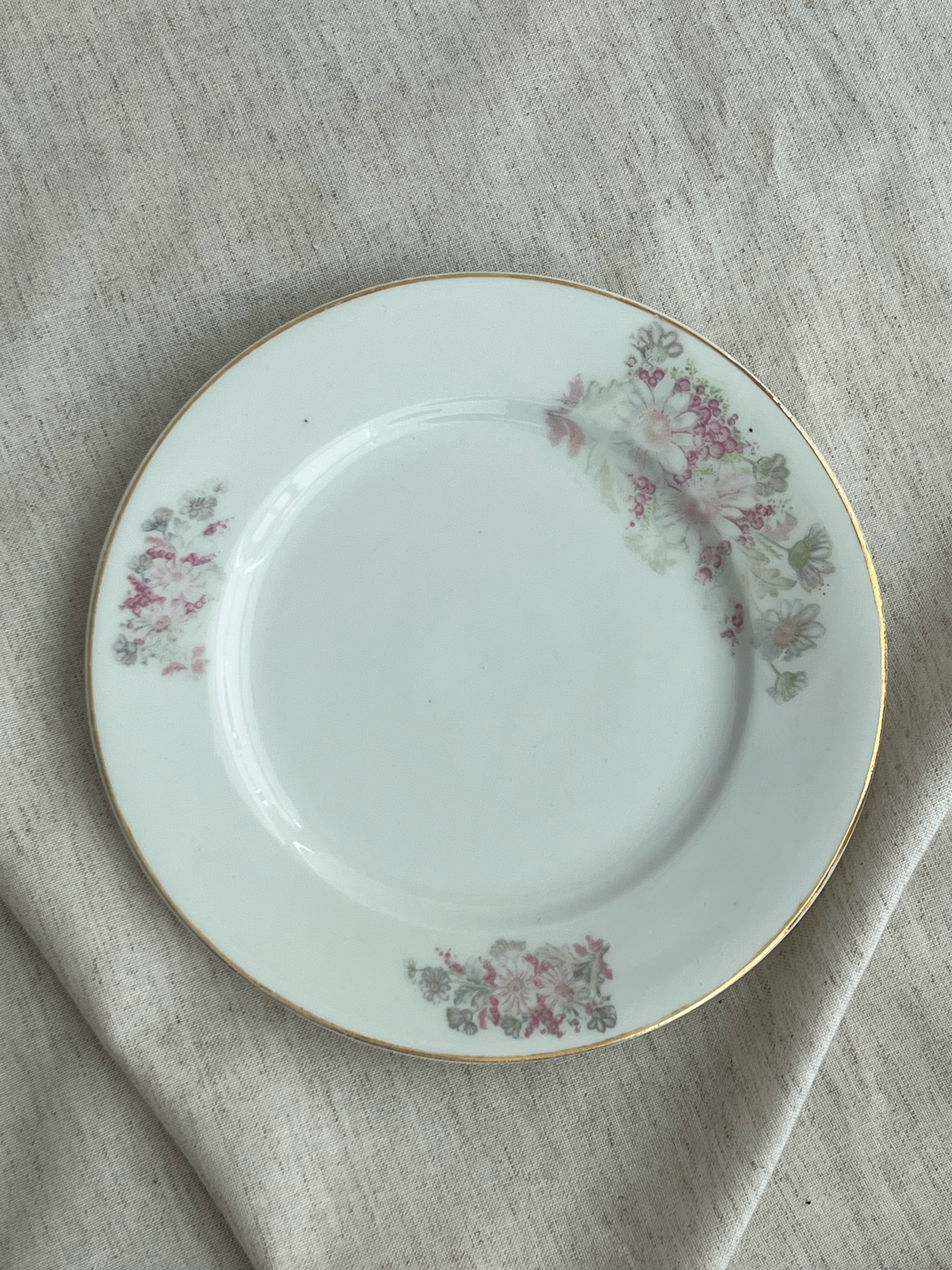 Conjunto de 9 Pratos antigos com motivos florais Vista Alegre | Portugal | 1881–1921