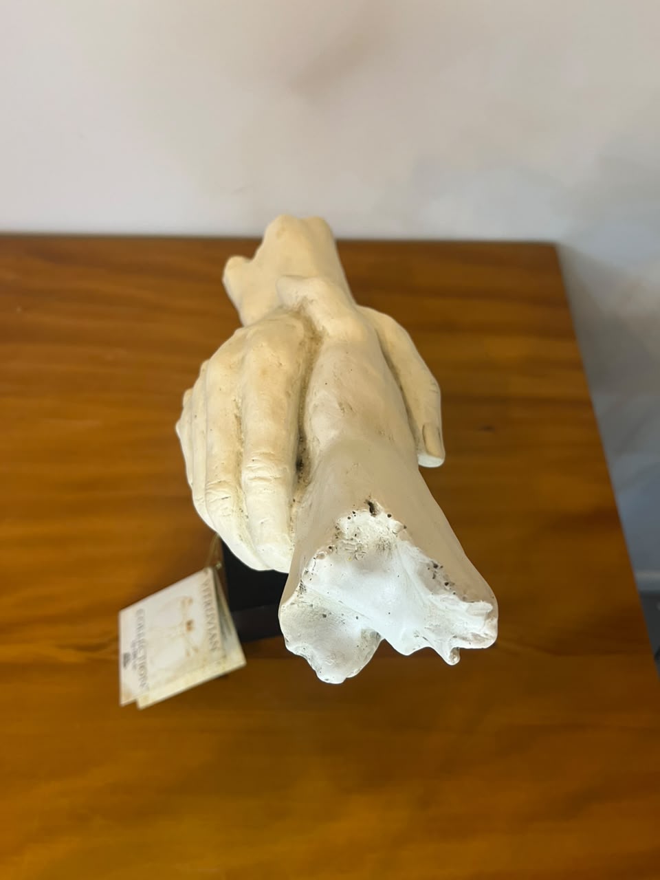 Escultura Decorativa “Aperto de Mãos” — Vitruvian Collection