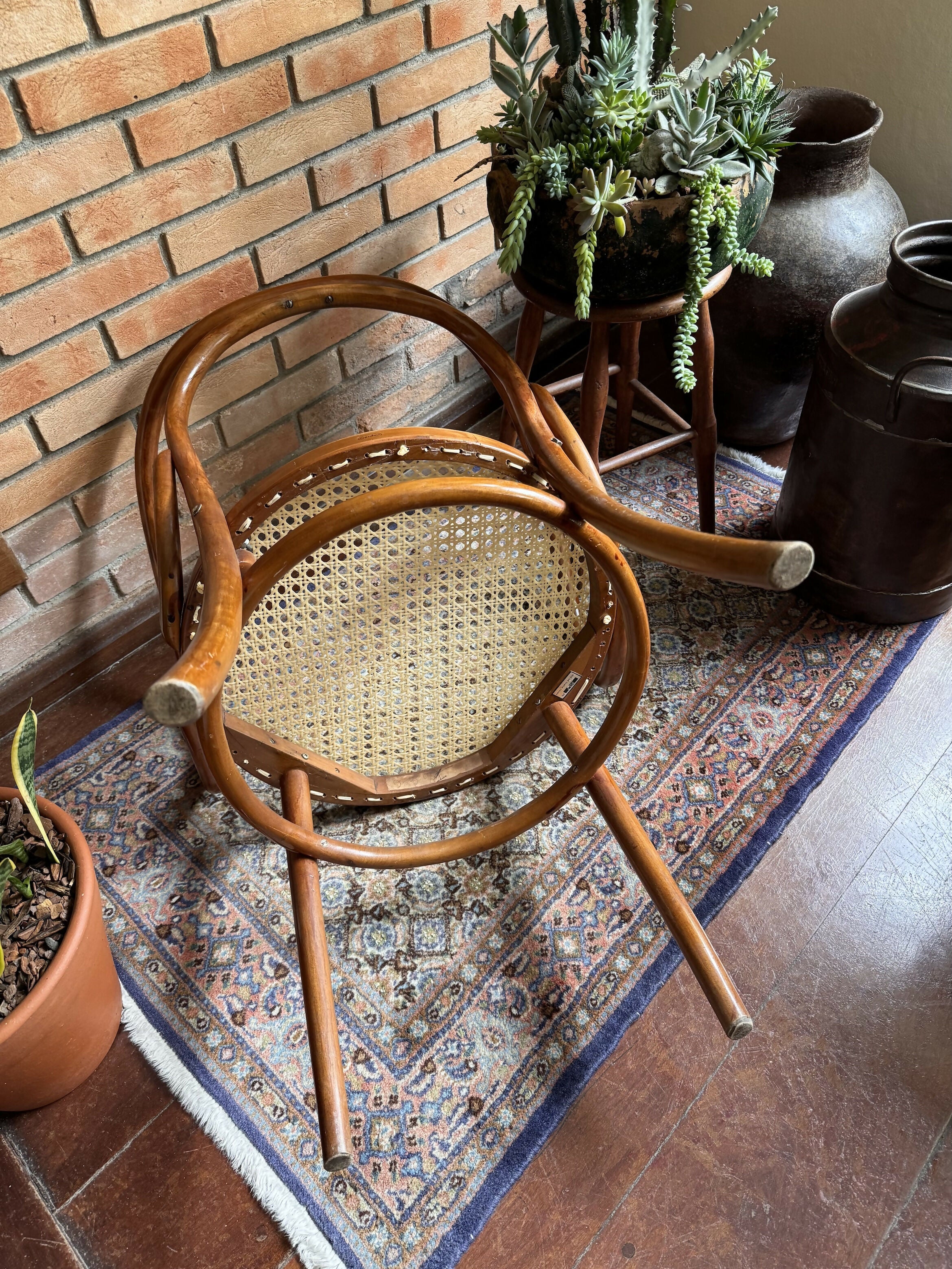 Poltrona Gerdau Thonet - modelo raro de encontrar
