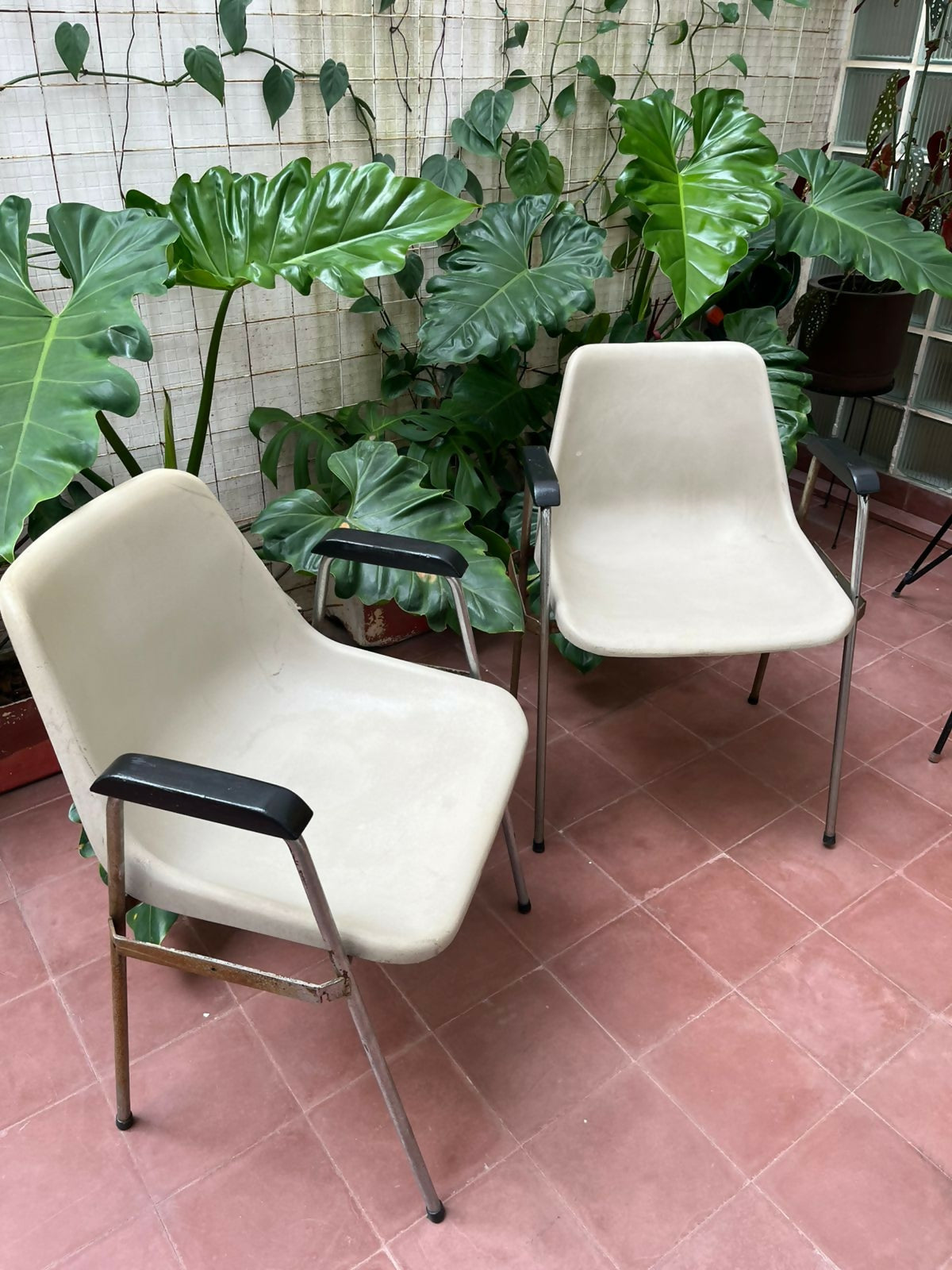 Cadeira Hille bege com braço, assinada por Robin Day e confeccionada pela L'atellier (valor unitário)