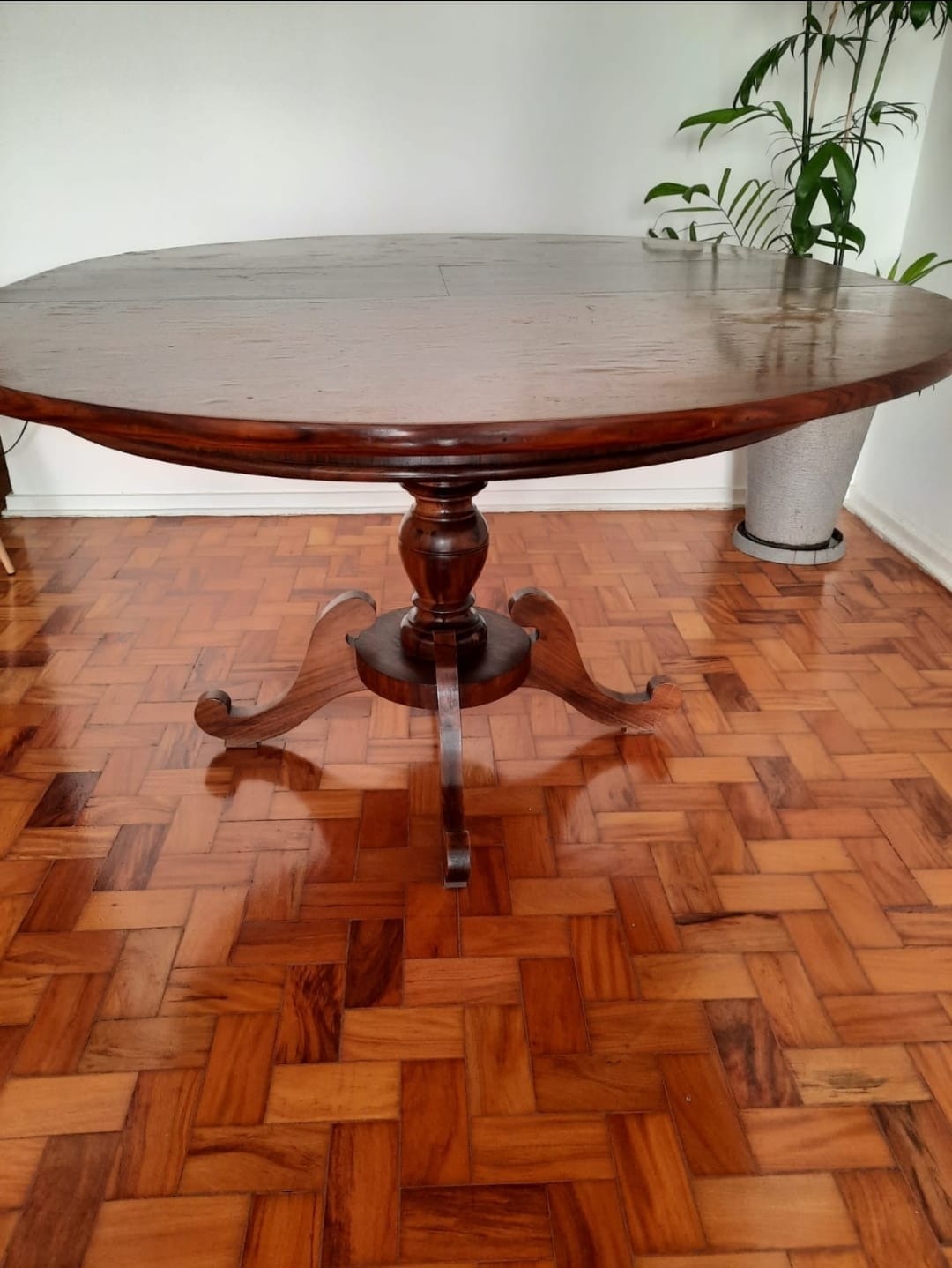 Conjunto de mesa de jantar antiga em madeira nobre + 4 cadeiras medalhão em palhinha