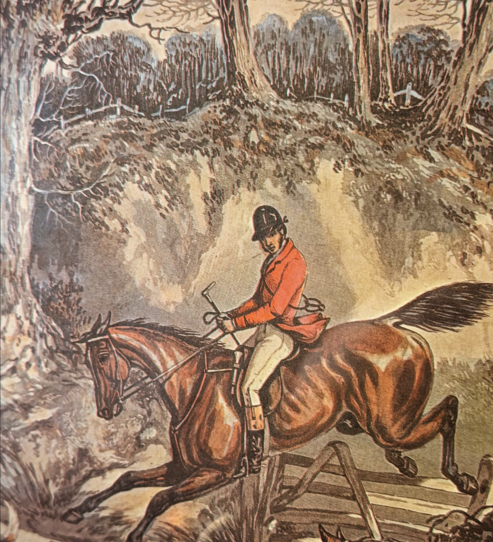 Gravura com Moldura em Jacaranda - THE FIRST INTRRODUCTION TO HOUNDS. Gravura by J.Harris Pintado by H. Alken.