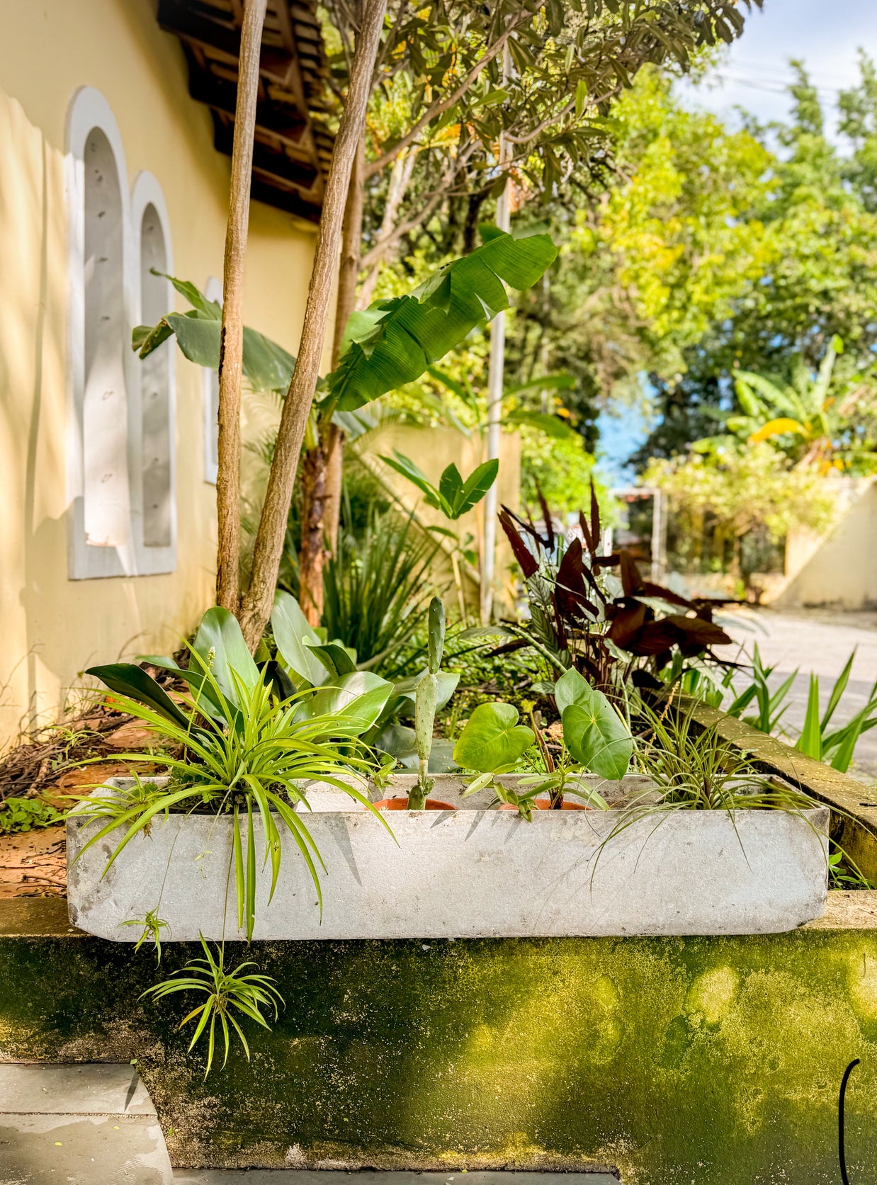 Vasos de plantas retangular estilo Eternit