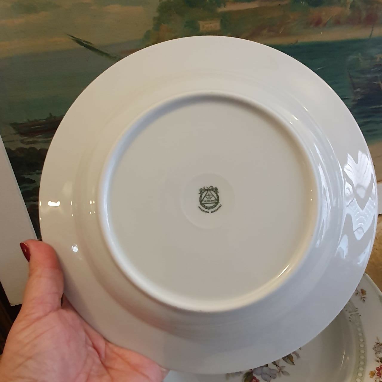 Conjunto para sopa com 7 peças em porcelana argentina vintage Verbano. Impecável!