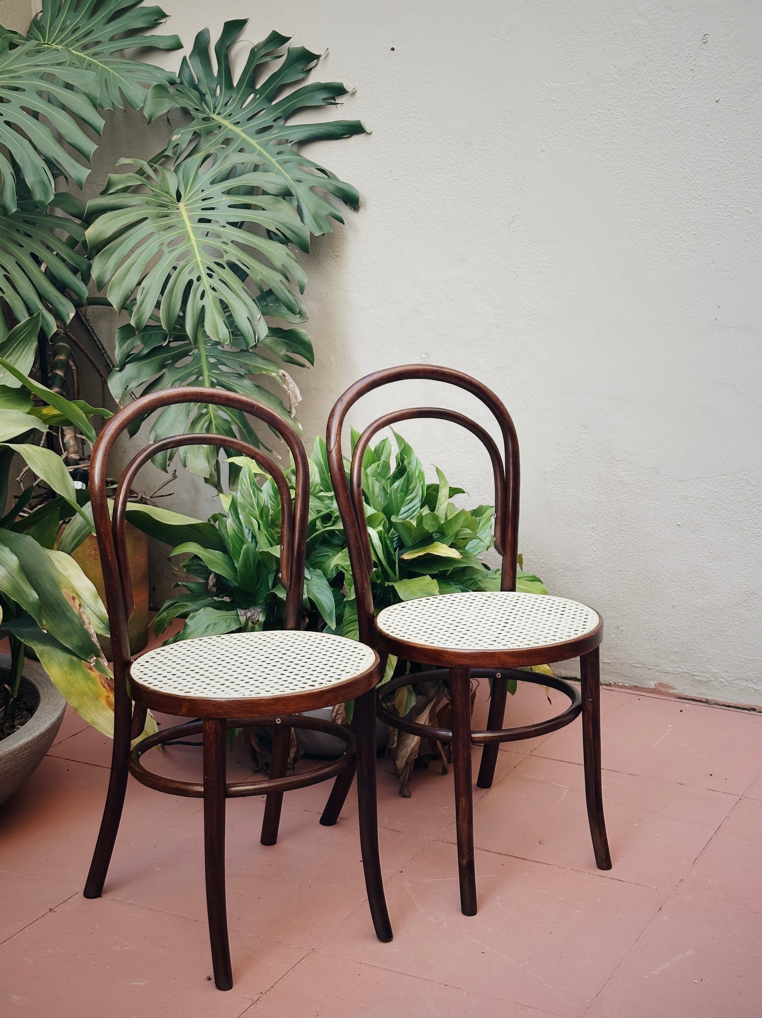 Set de Cadeiras Thonet