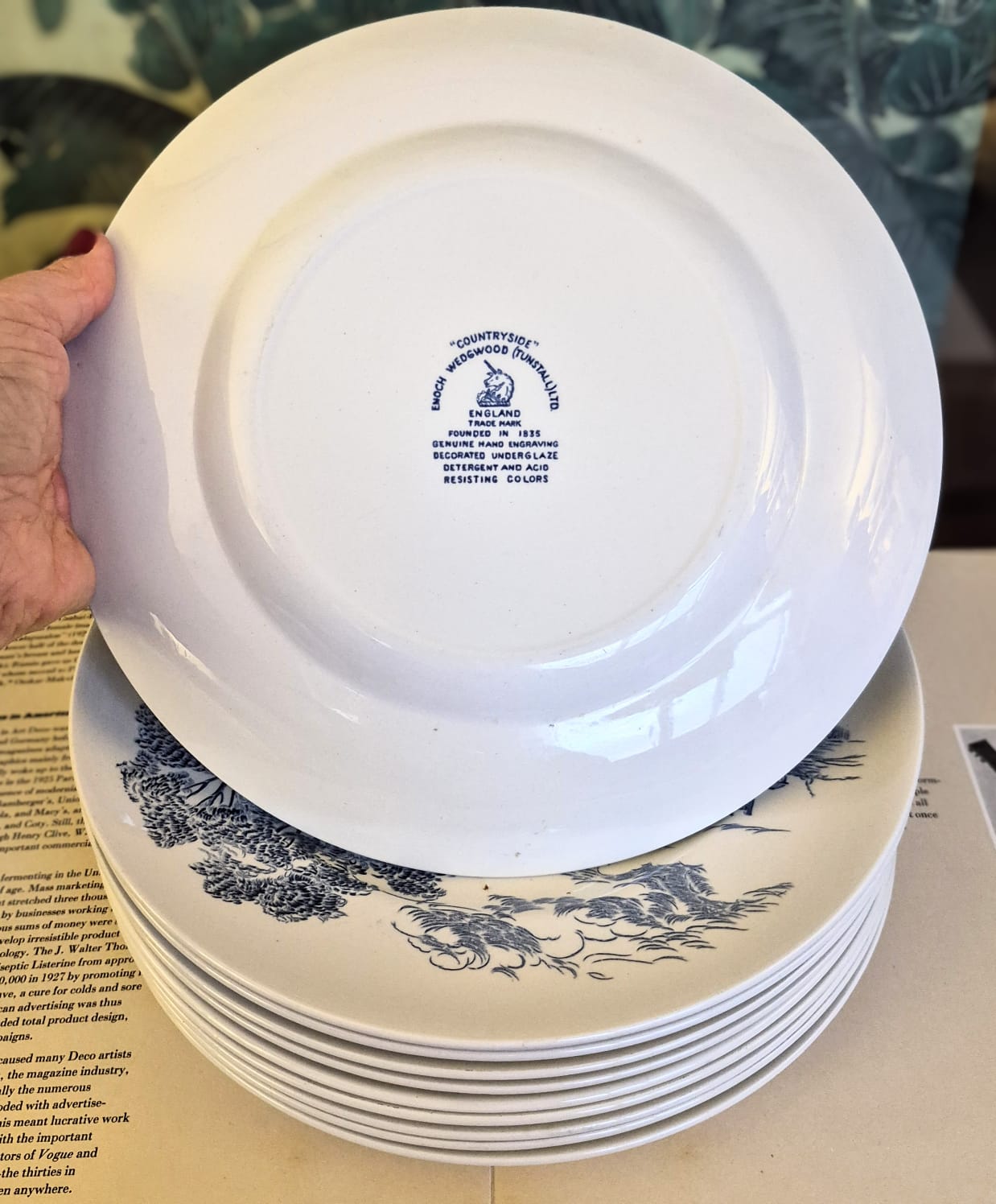 Conjunto de 10 pratos rasos em faiança azul e branca inglesa,  produzidos pela Enoch Wedgwood, anos, padrão Country Side.
