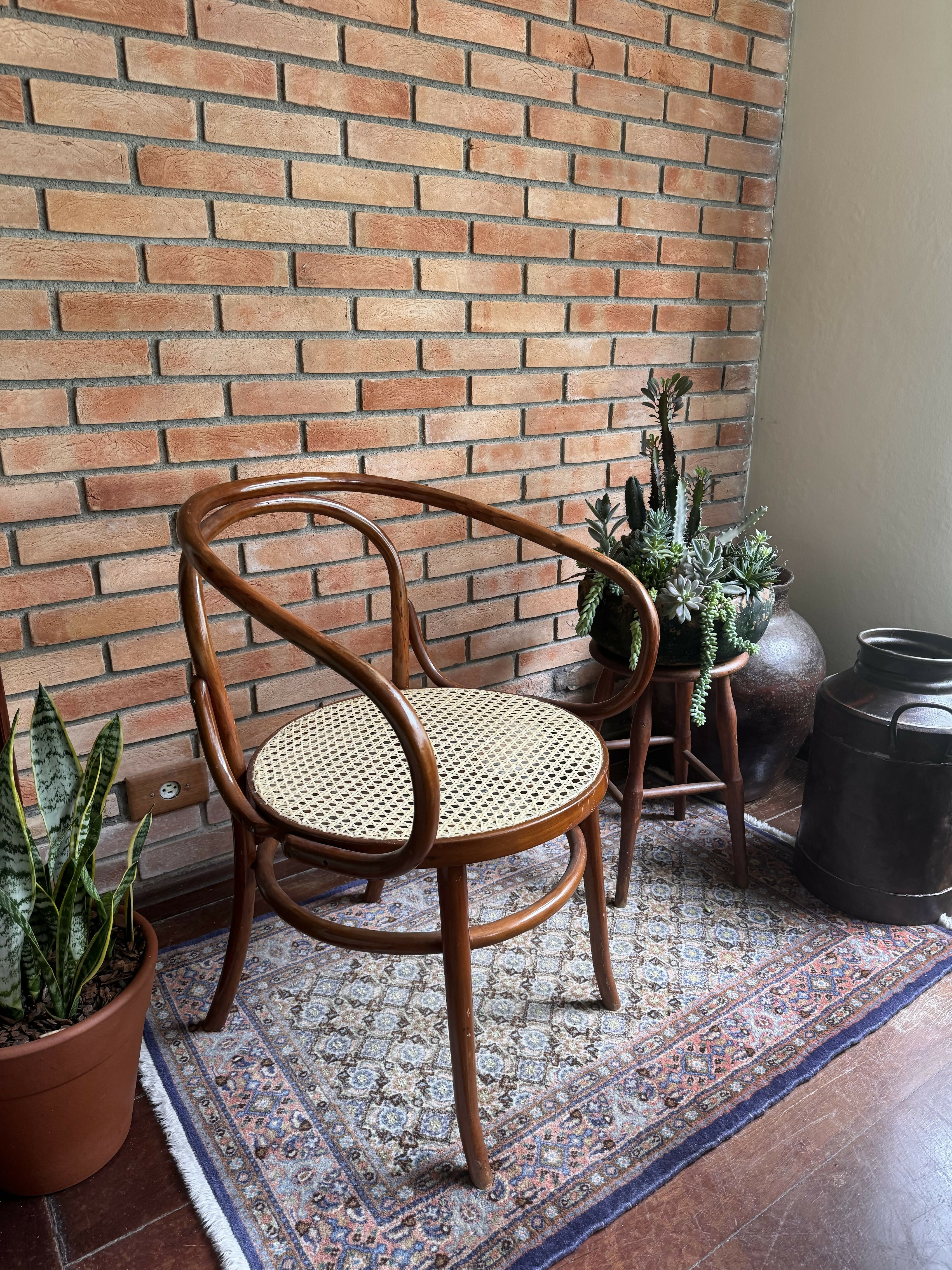 Poltrona Gerdau Thonet - modelo raro de encontrar