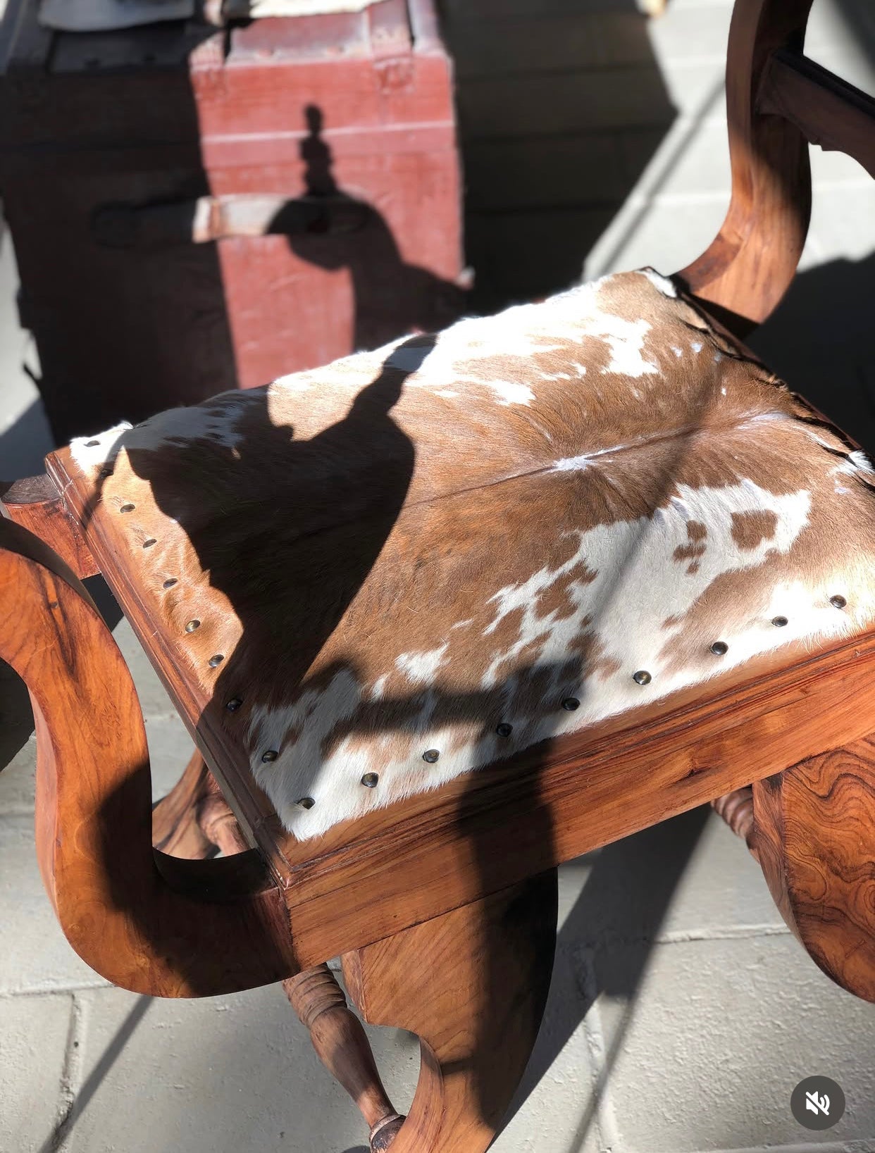 Marquesa / Banco curul em Jacarandá com estofado em couro de vaca malhada 