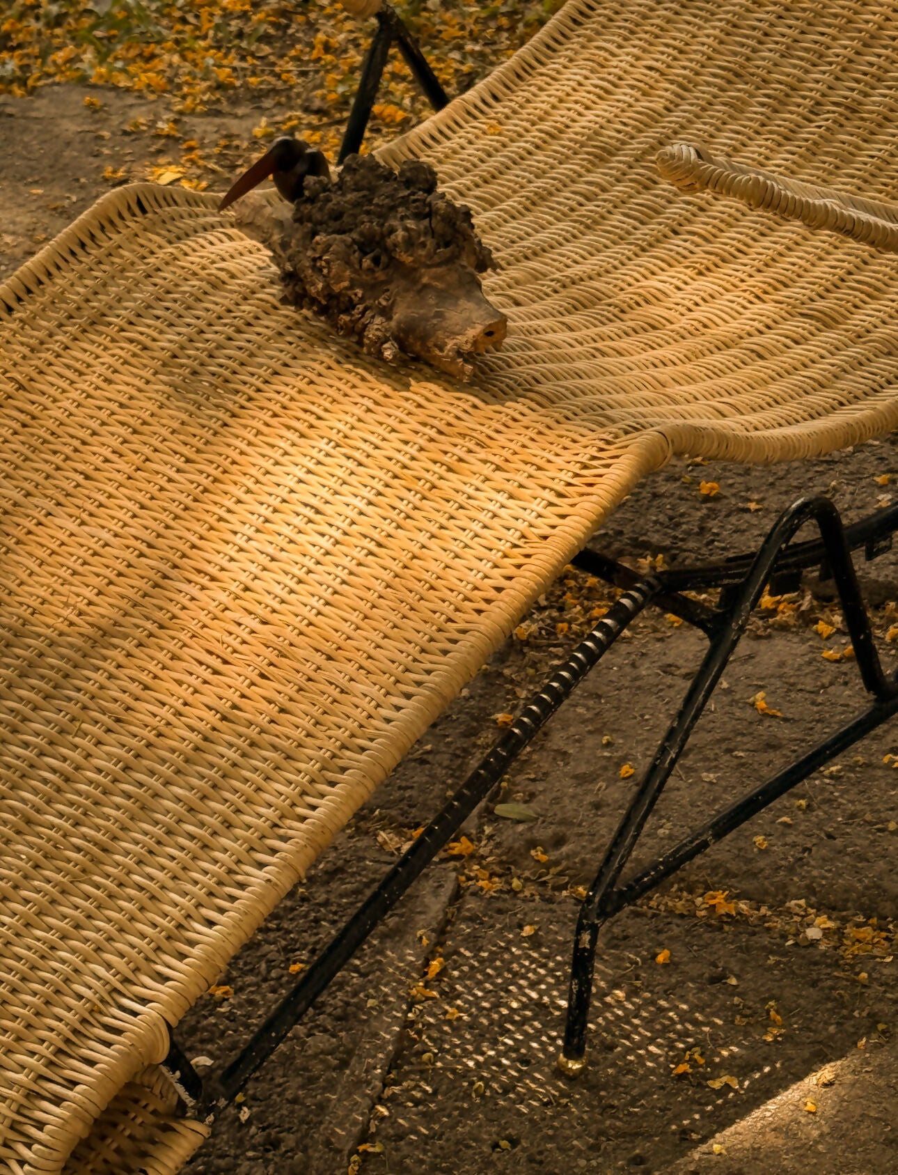 Espreguiçadeira modernista