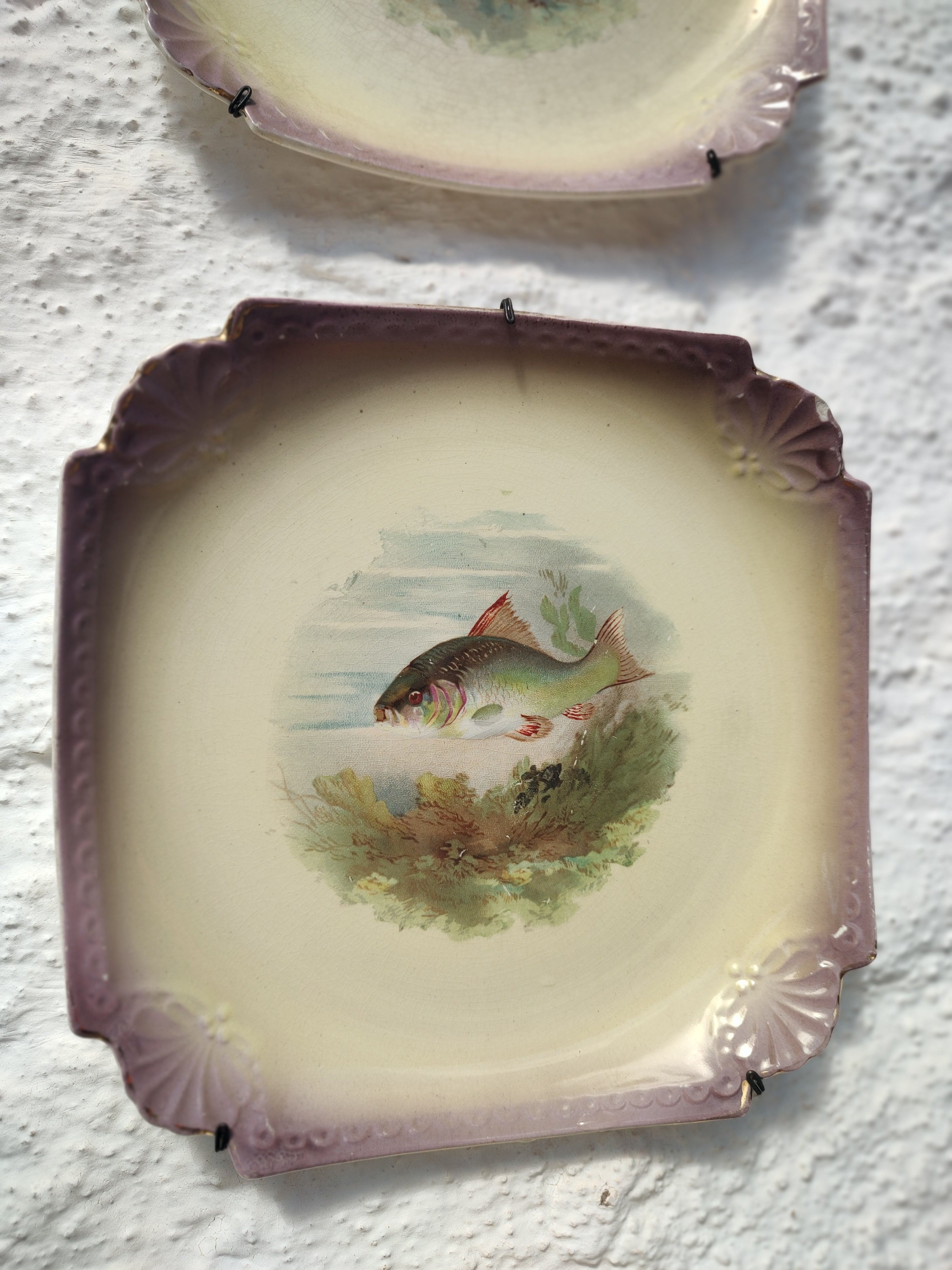 Raro e centenário conjunto de Pratos Decorativos com pequena travessa em Porcelana Alemã Royal Bonn com pinturas de peixes feita à mão