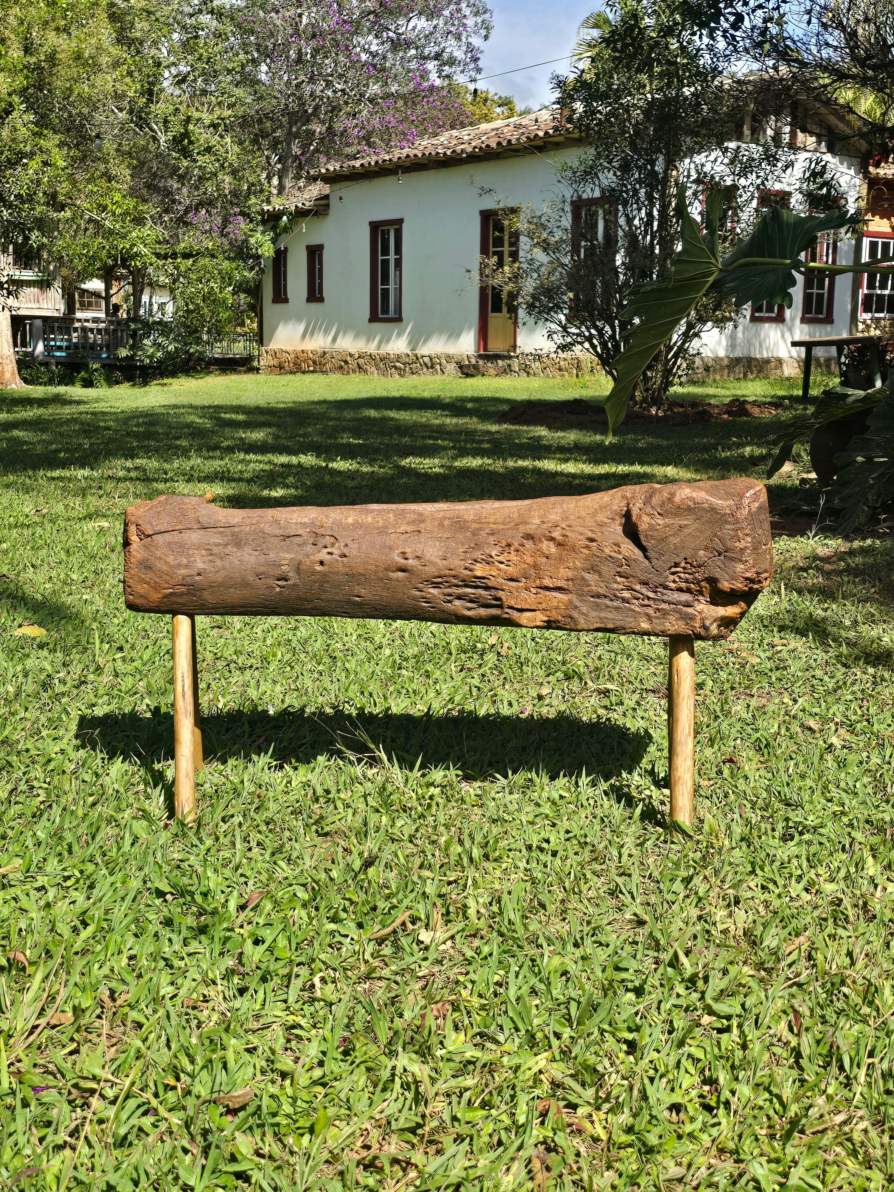 Cocho de Roça Madeira Maciça Garimpo Mineiro