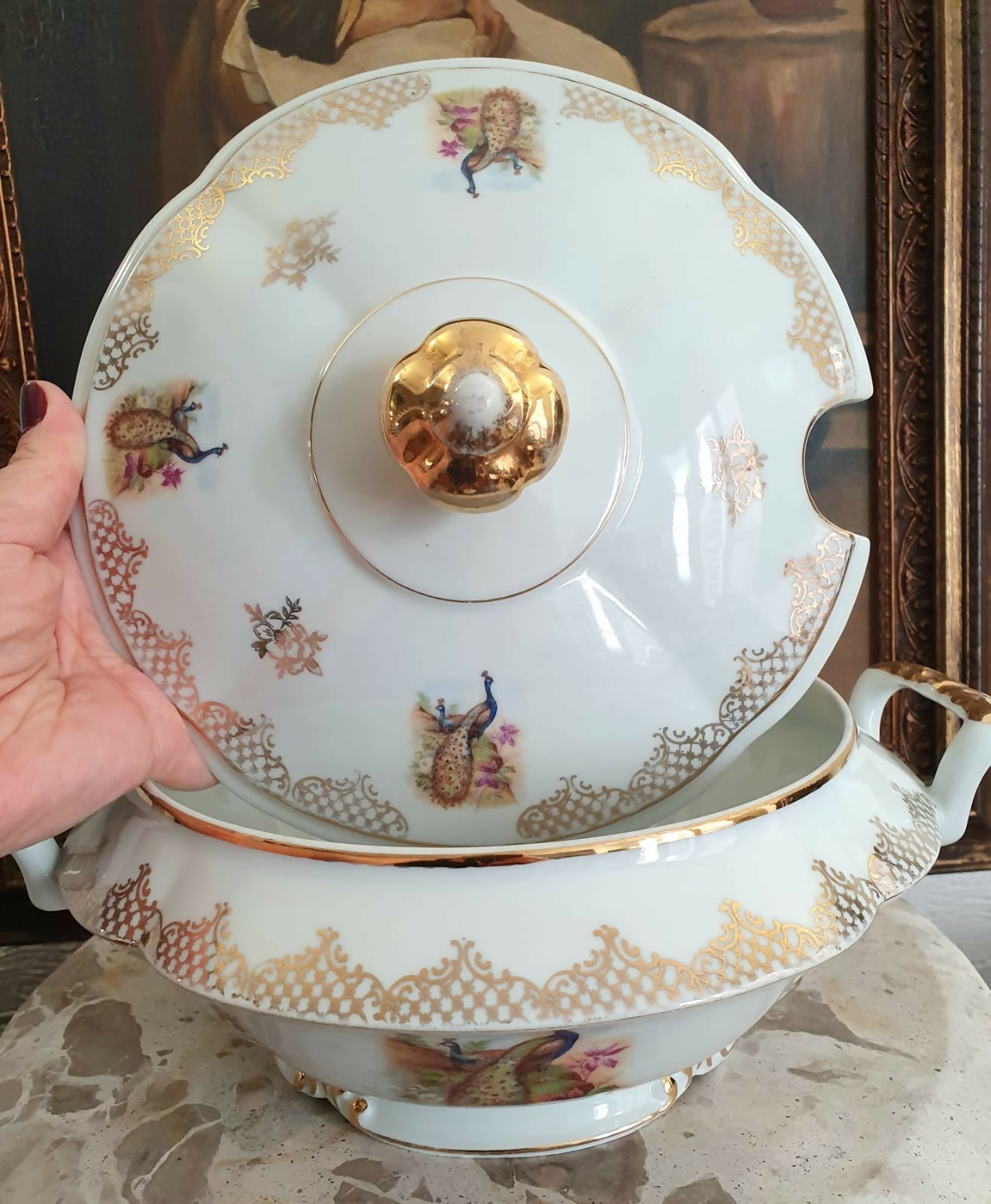 Conjunto em porcelana Real para sopa, 12 peças, anos 40, maravilhoso, Aves do Paraíso. Impecável!