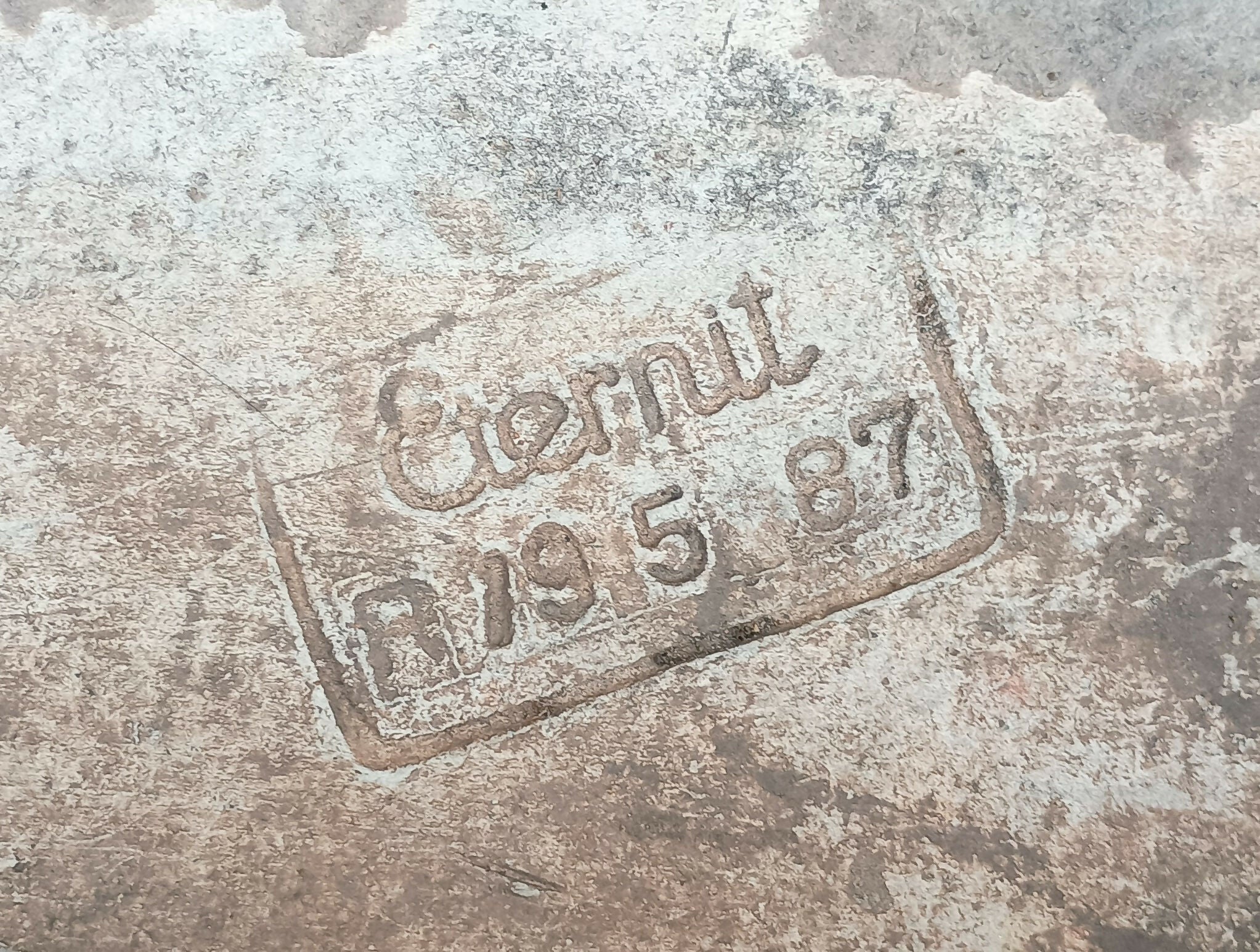 Willy Guhl Eternit Vaso/Canteiro