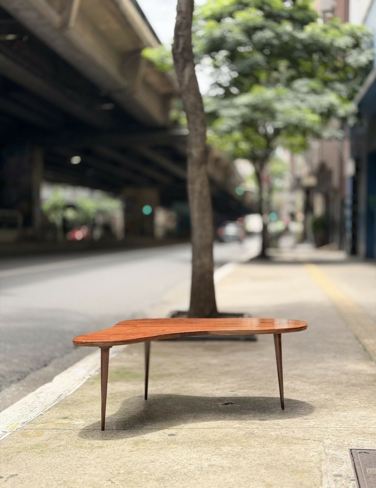 Mesa de Centro Orgânica