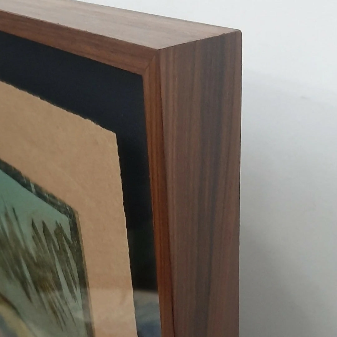 XILOGRAVURA ALDEMIR MARTINS (EM 10X SEM JUROS)