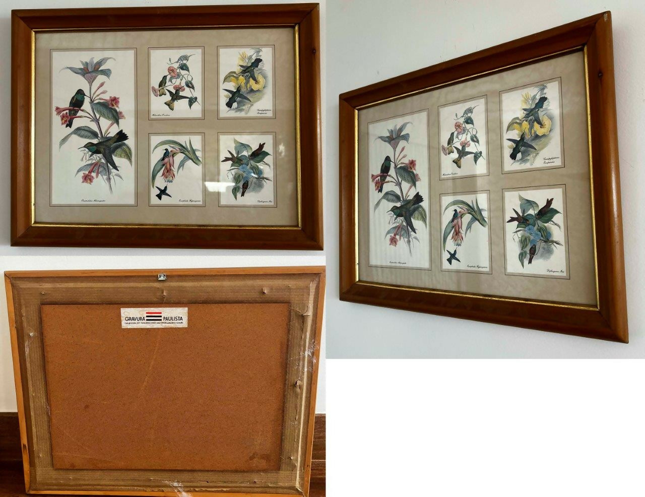 Conjunto de 8 Quadros decorativos com moldura de madeira e vidro