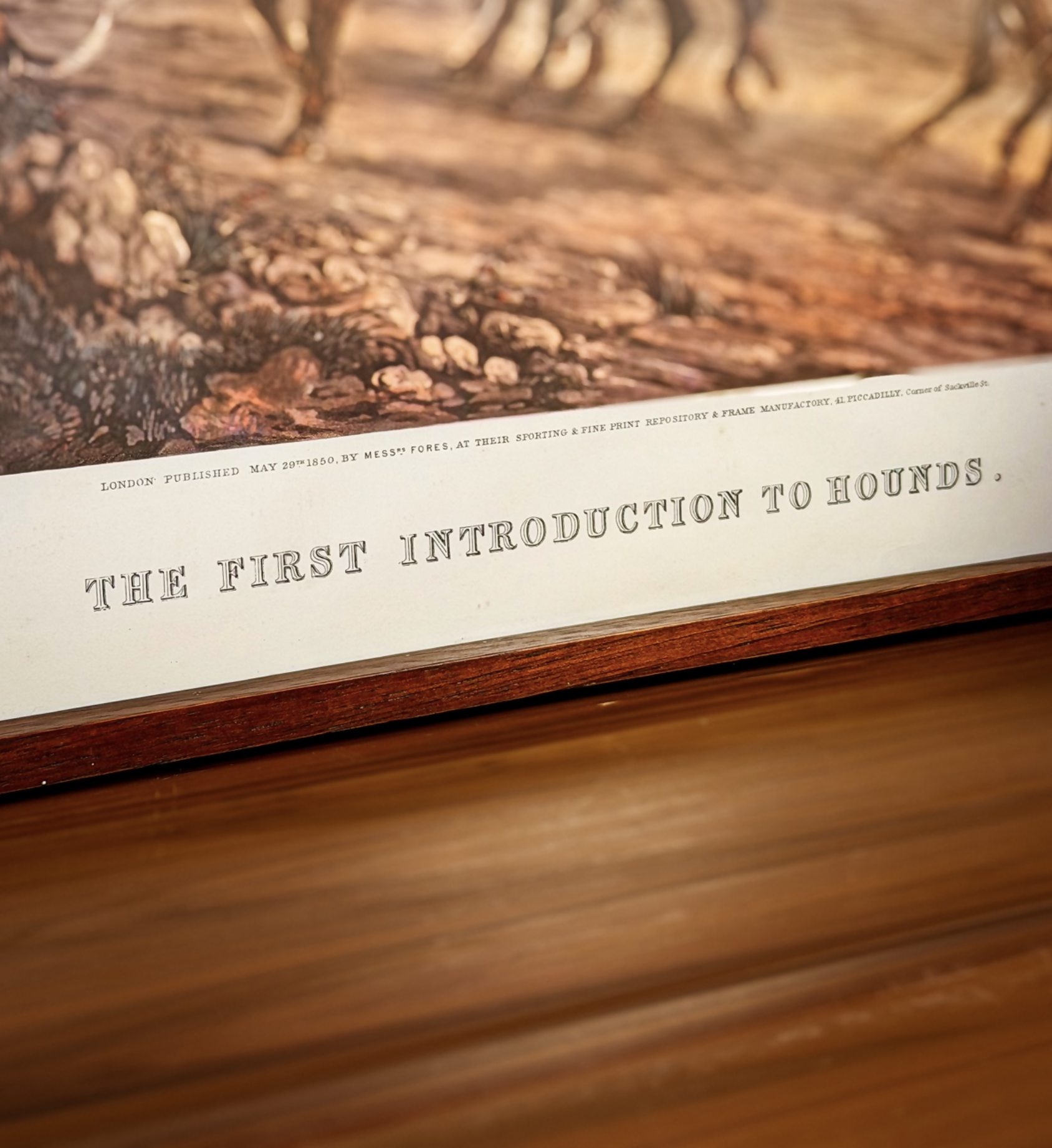Gravura com Moldura em Jacaranda - THE FIRST INTRRODUCTION TO HOUNDS. Gravura by J.Harris Pintado by H. Alken.