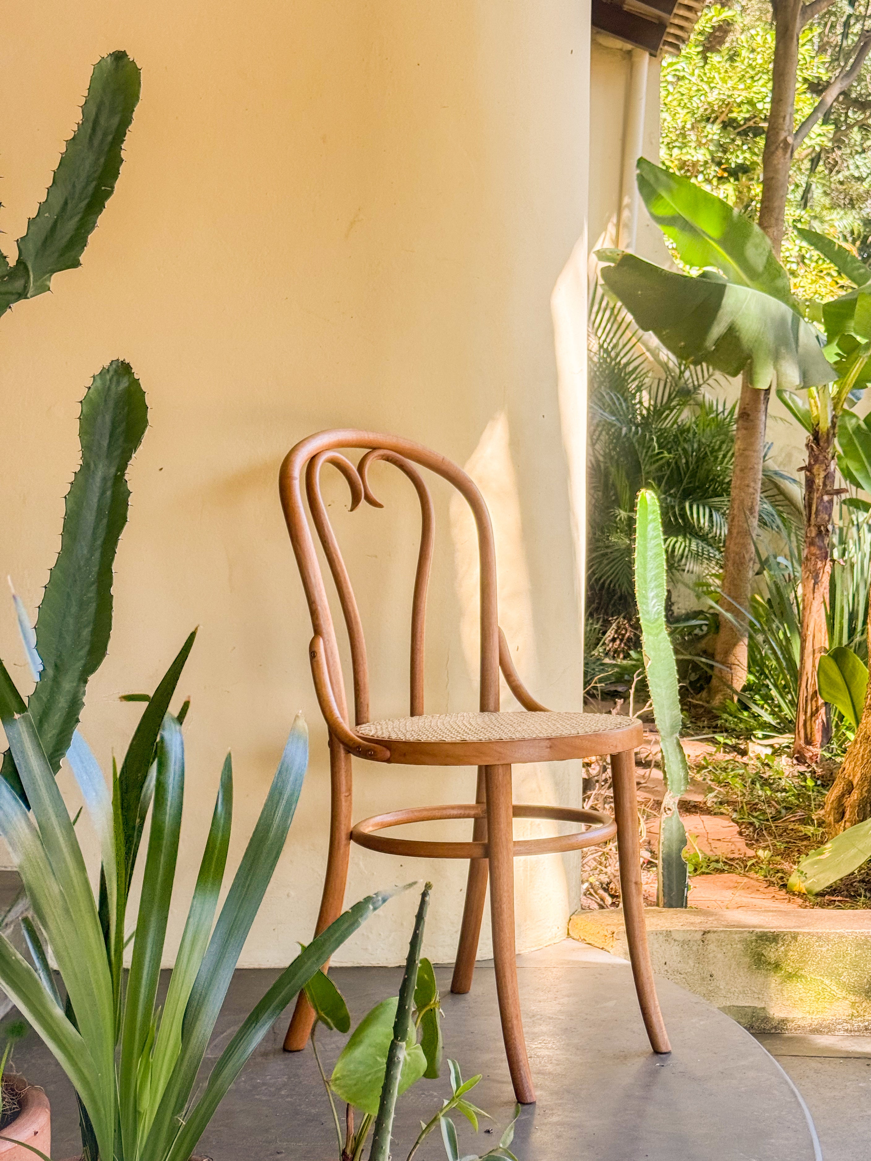 Cadeira Thonet (Thonart)