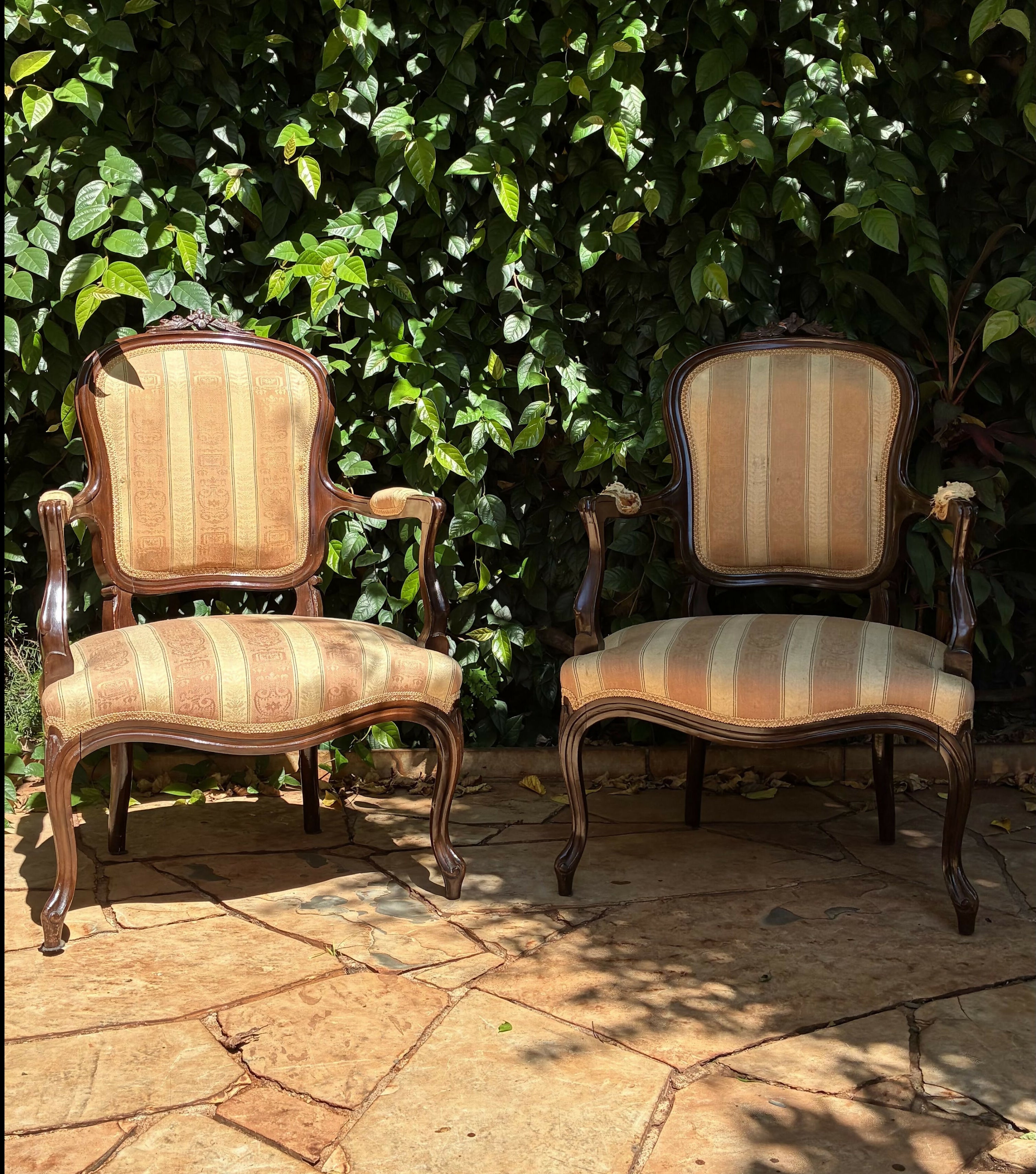 Par de poltronas estilo Luís XV