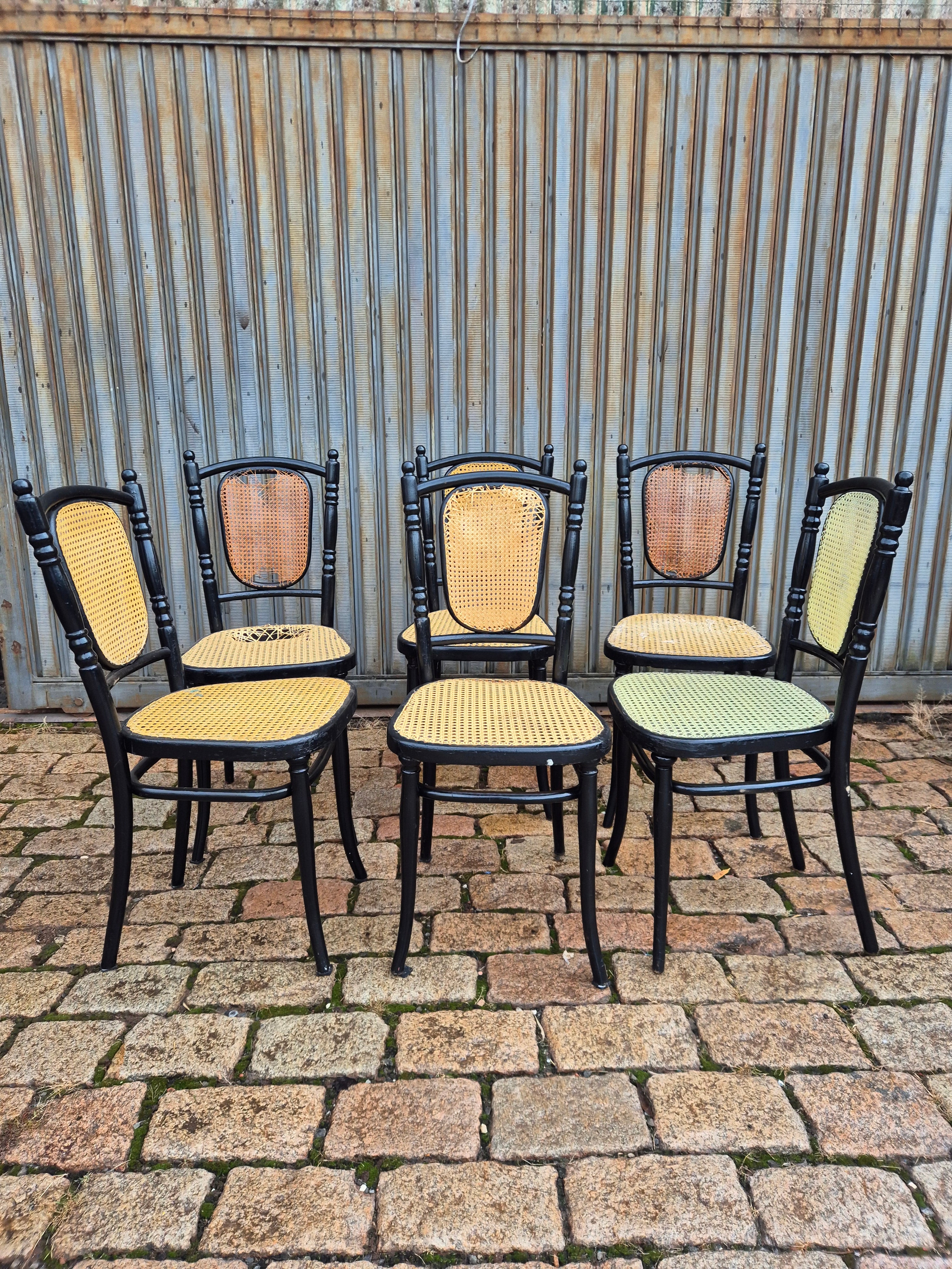 Set cadeiras originais Thonet pretas com palhinha 