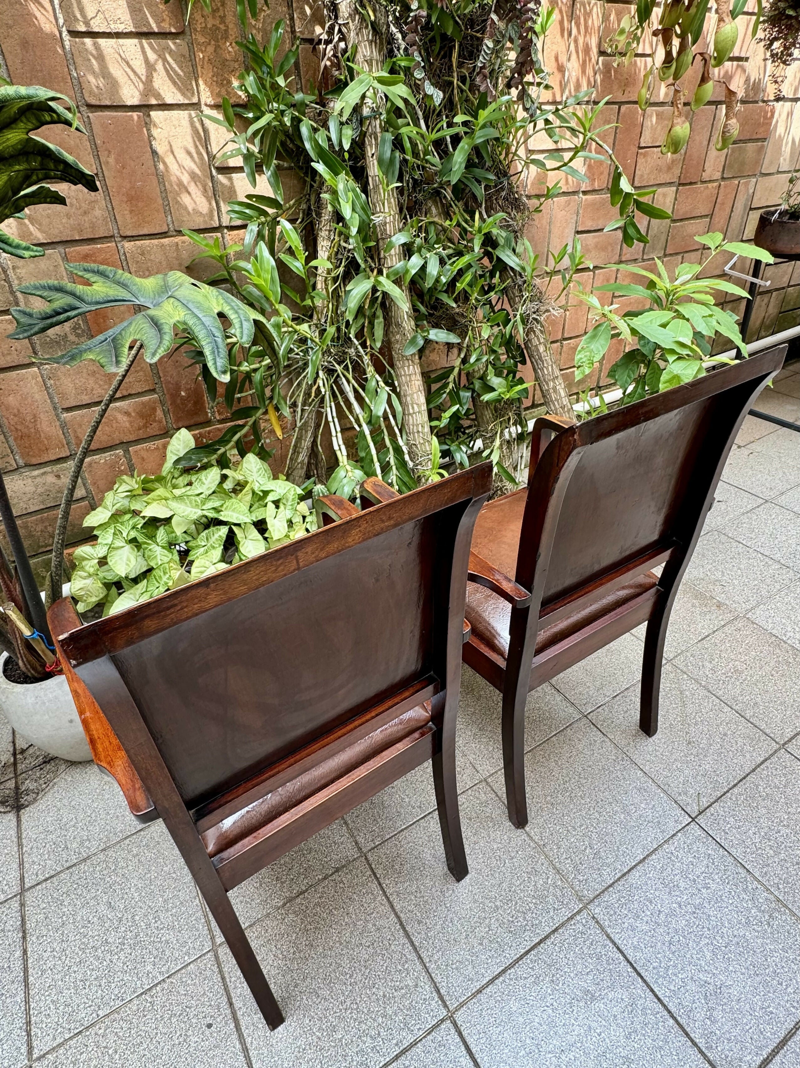 RARIDADE - Poltronas/Cadeiras CIMO anos 50 - preço unitário