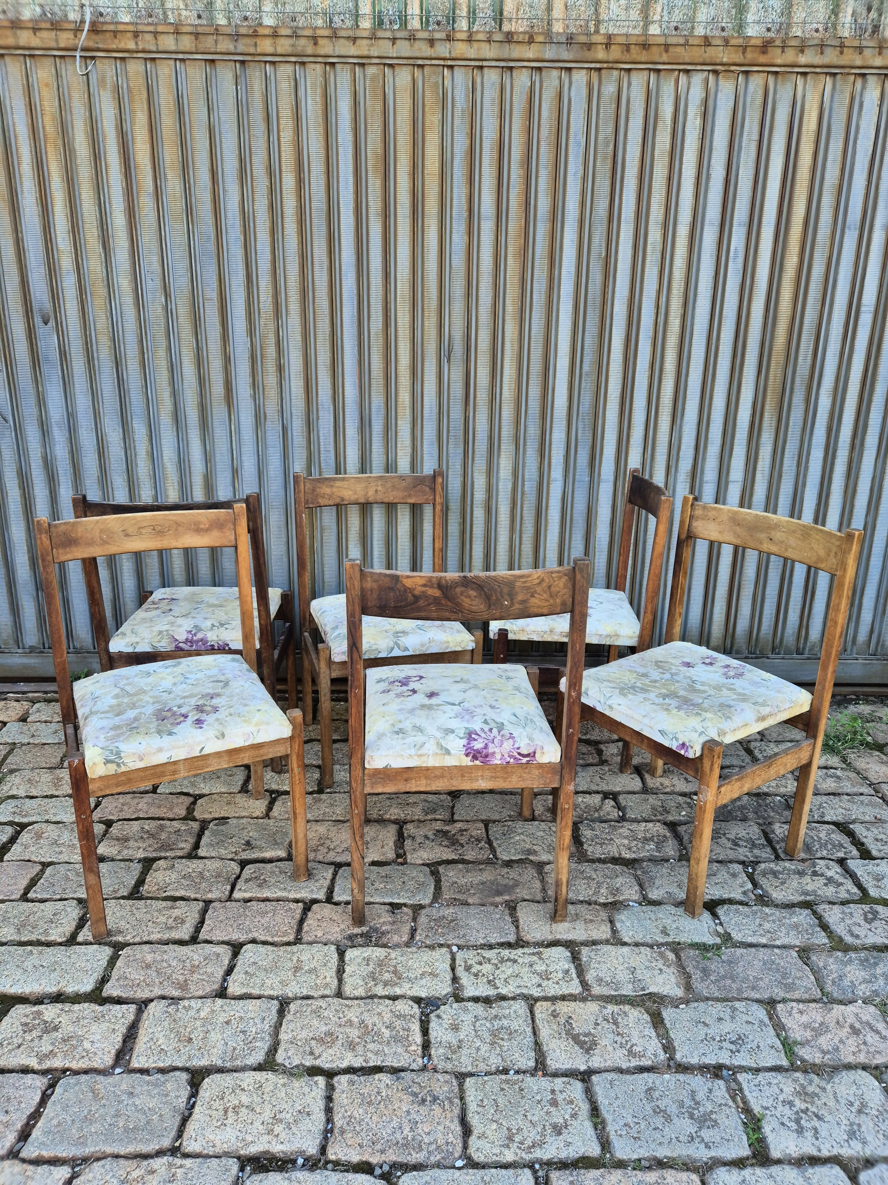 Set de cadeira anos 60 Jacarandá