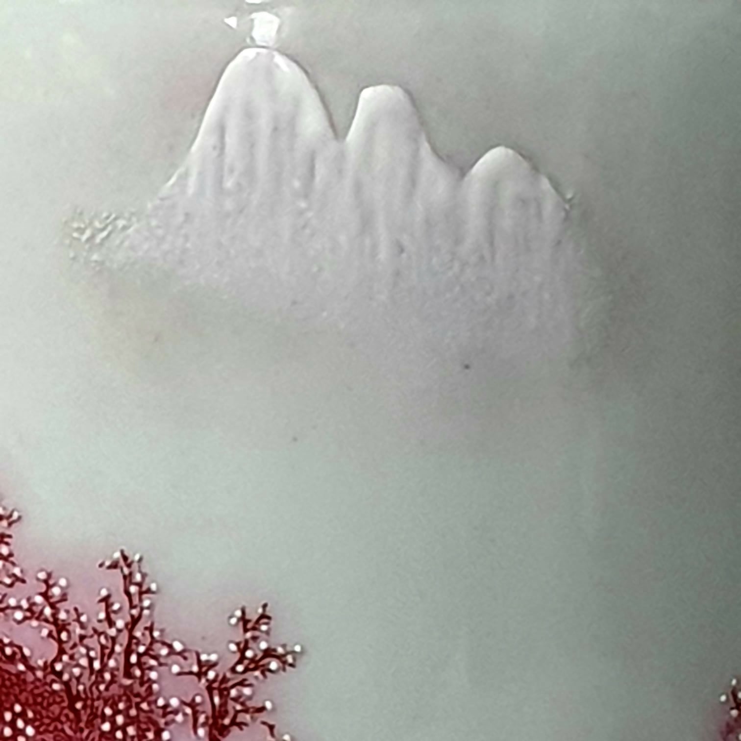 Grande Vaso em porcelana chinesa Celadon