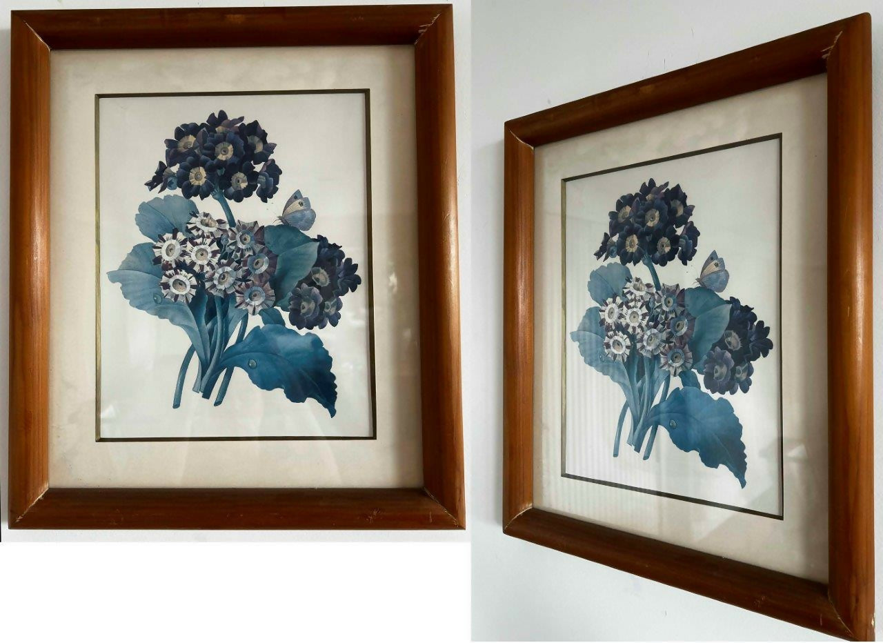 Conjunto de 8 Quadros decorativos com moldura de madeira e vidro